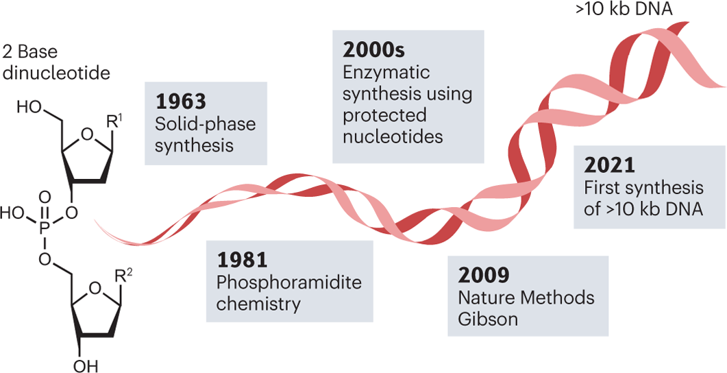 dna and rna vaccines: The Samurai Way