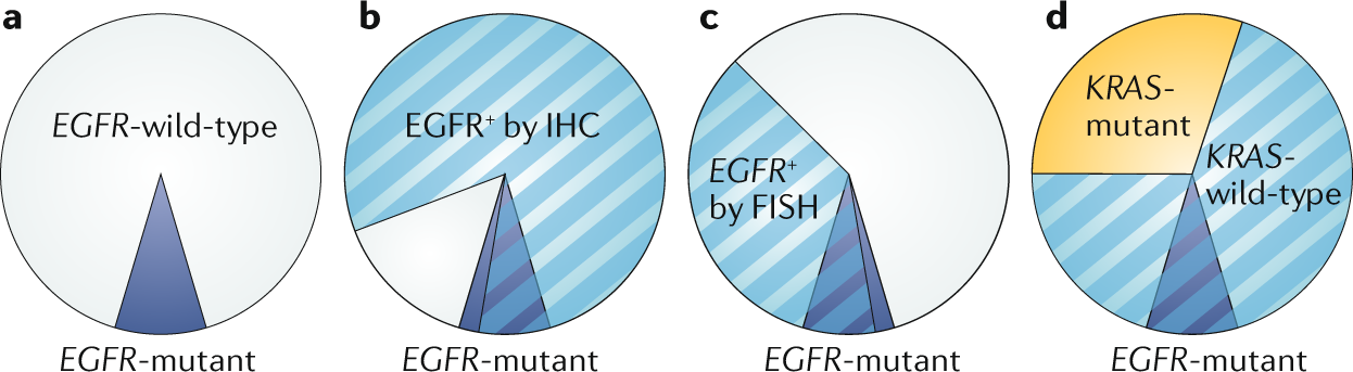 comparing and contrasting predictive biomarkers for immunotherapy