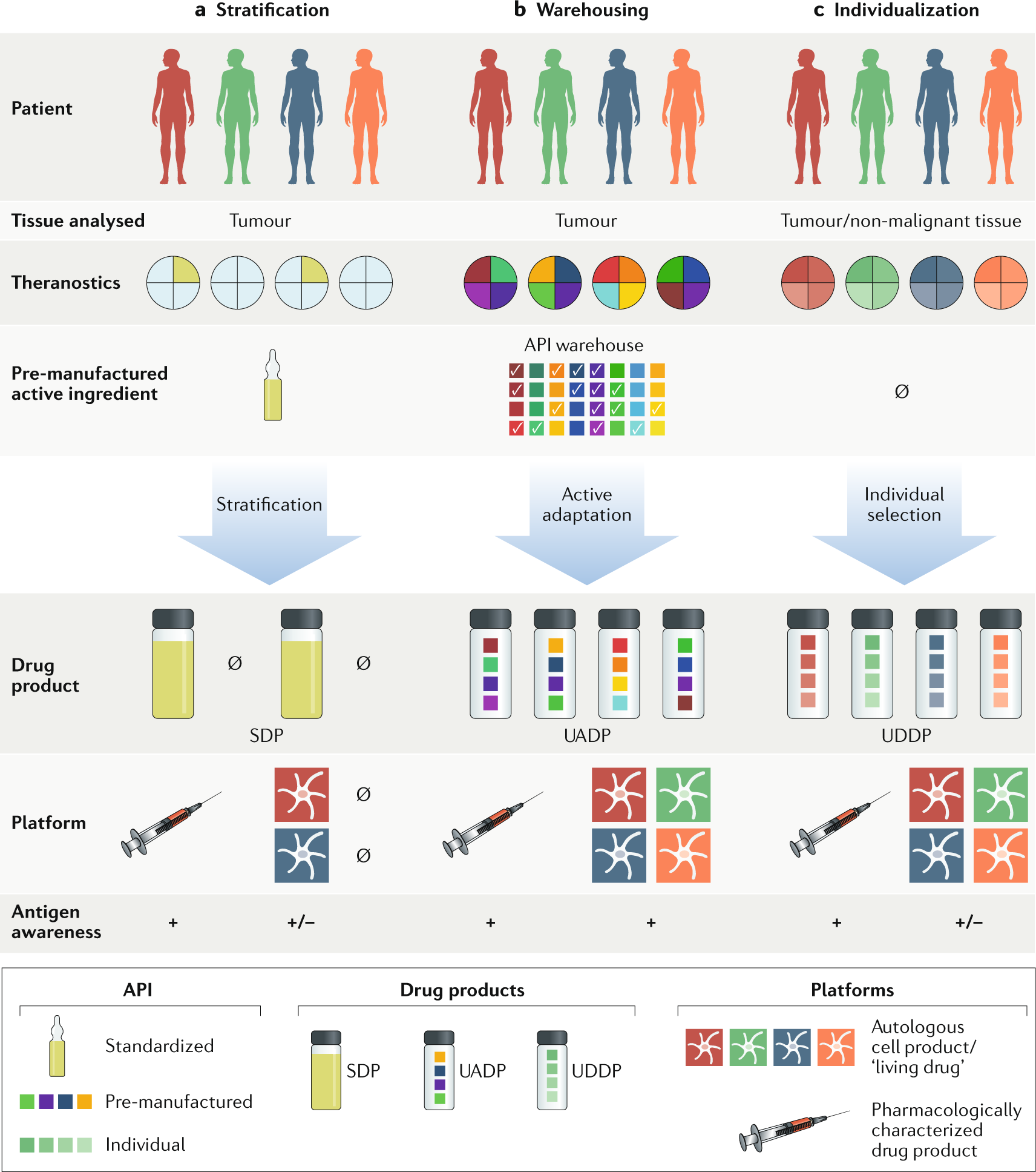 Towards New Horizons Characterization Classification And Implications Of The Tumour Antigenic Repertoire Nature Reviews Clinical Oncology