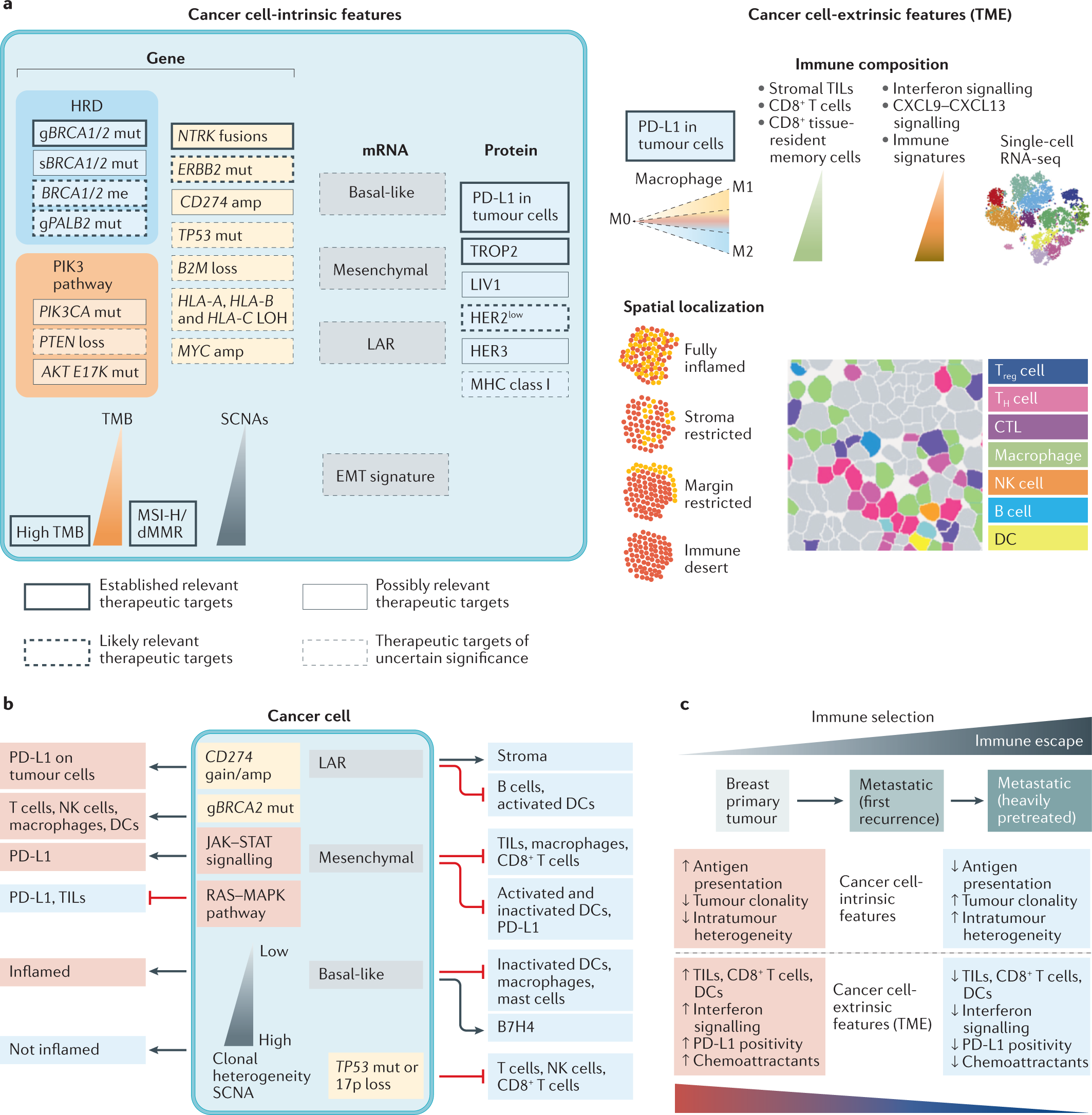 Treatment landscape of triple-negative breast cancer — expanded options,  evolving needs | Nature Reviews Clinical Oncology