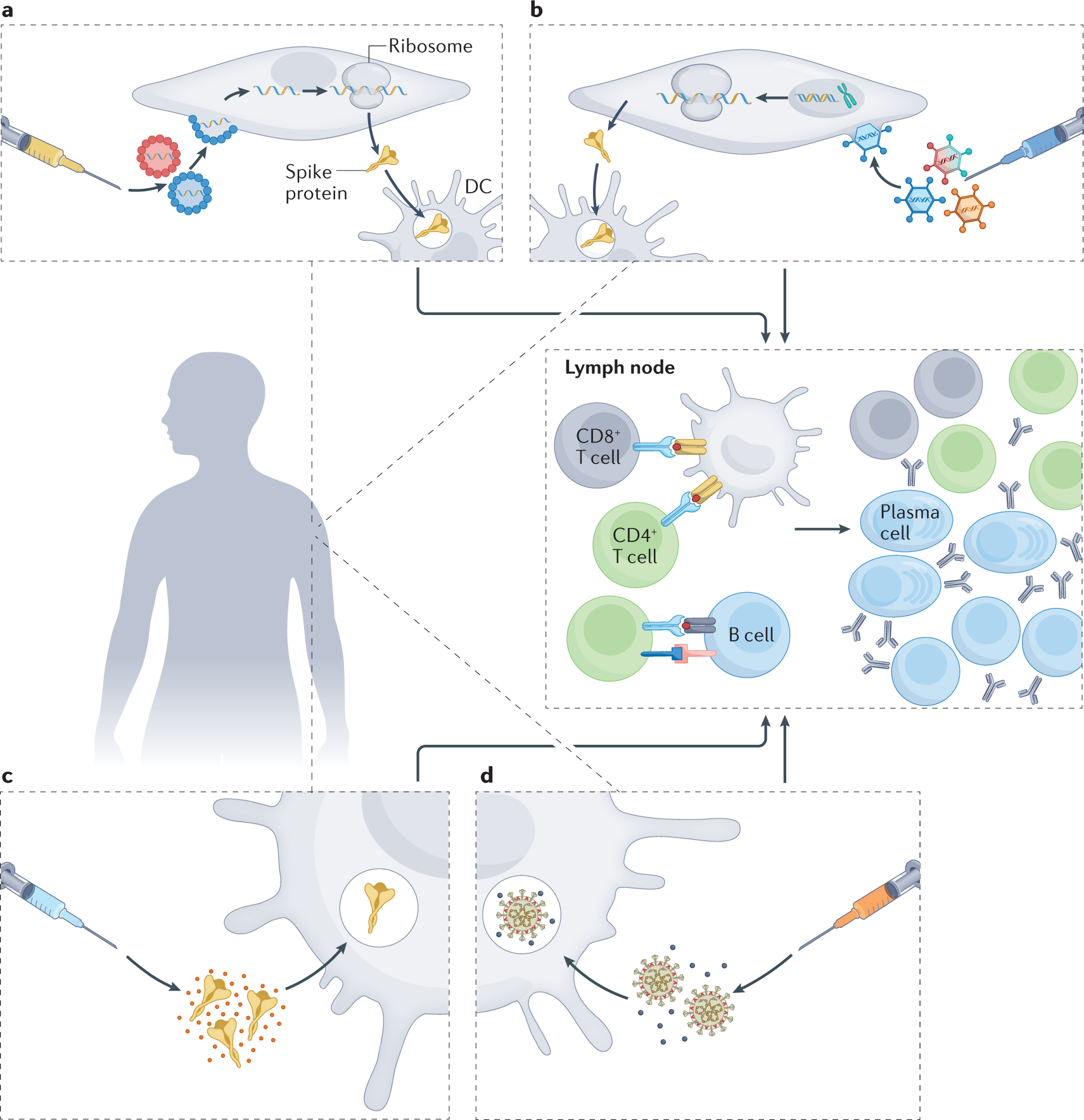 Immunogenicity and risks associated with impaired immune responses  following SARS-CoV-2 vaccination and booster in hematologic malignancy  patients: an updated meta-analysis