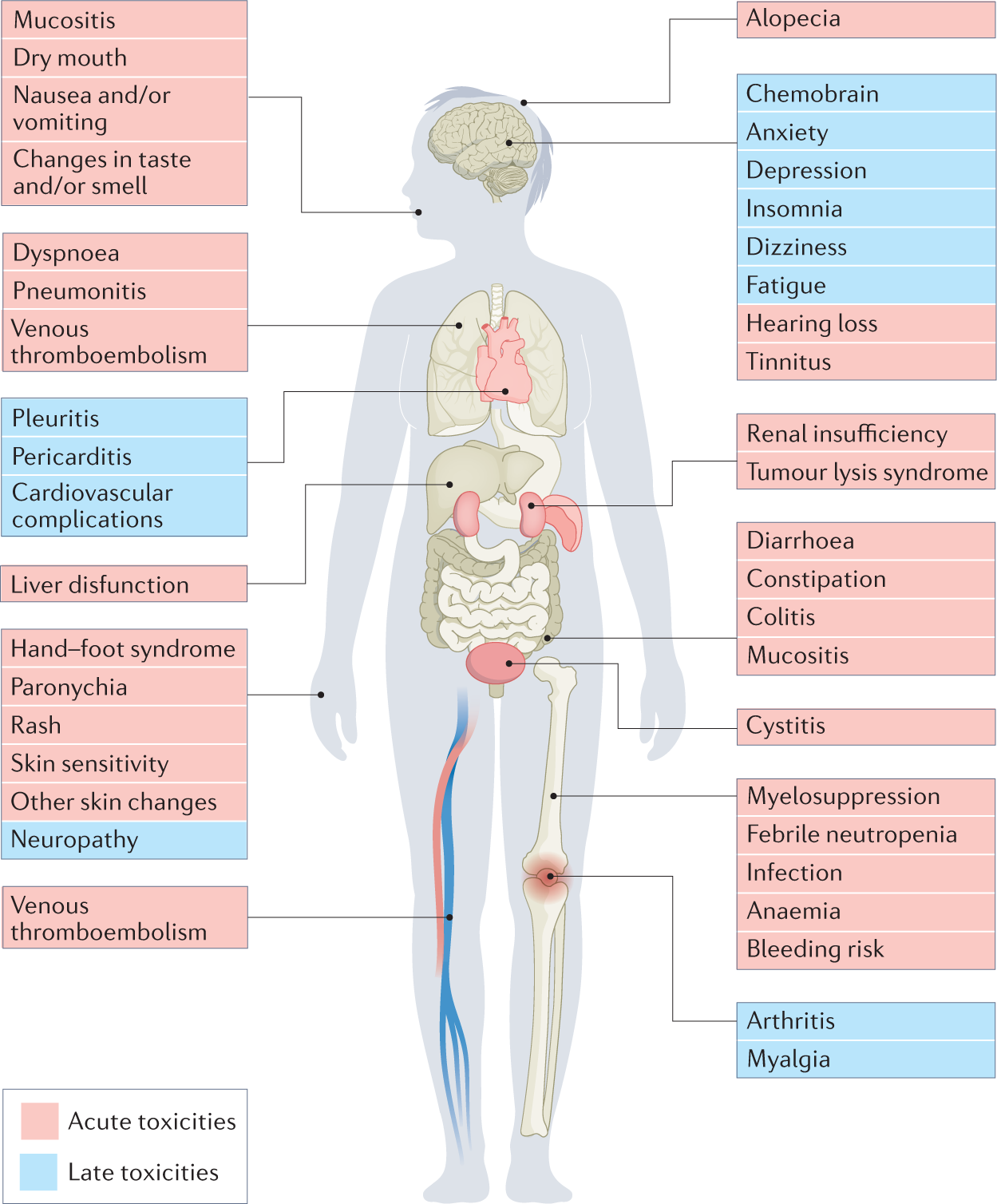 Mitigating acute chemotherapy-associated adverse events in patients with  cancer | Nature Reviews Clinical Oncology