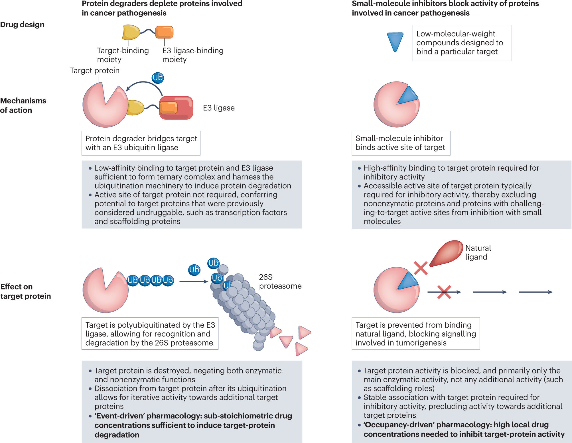 Targeted Protein Degradation Cryo-EM