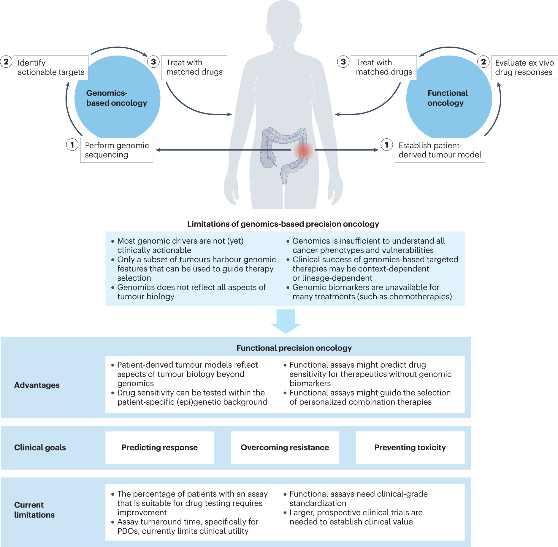 One size Does Not Fit All in Cancer Treatment: The Role of Precision  Medicine – OncoBites