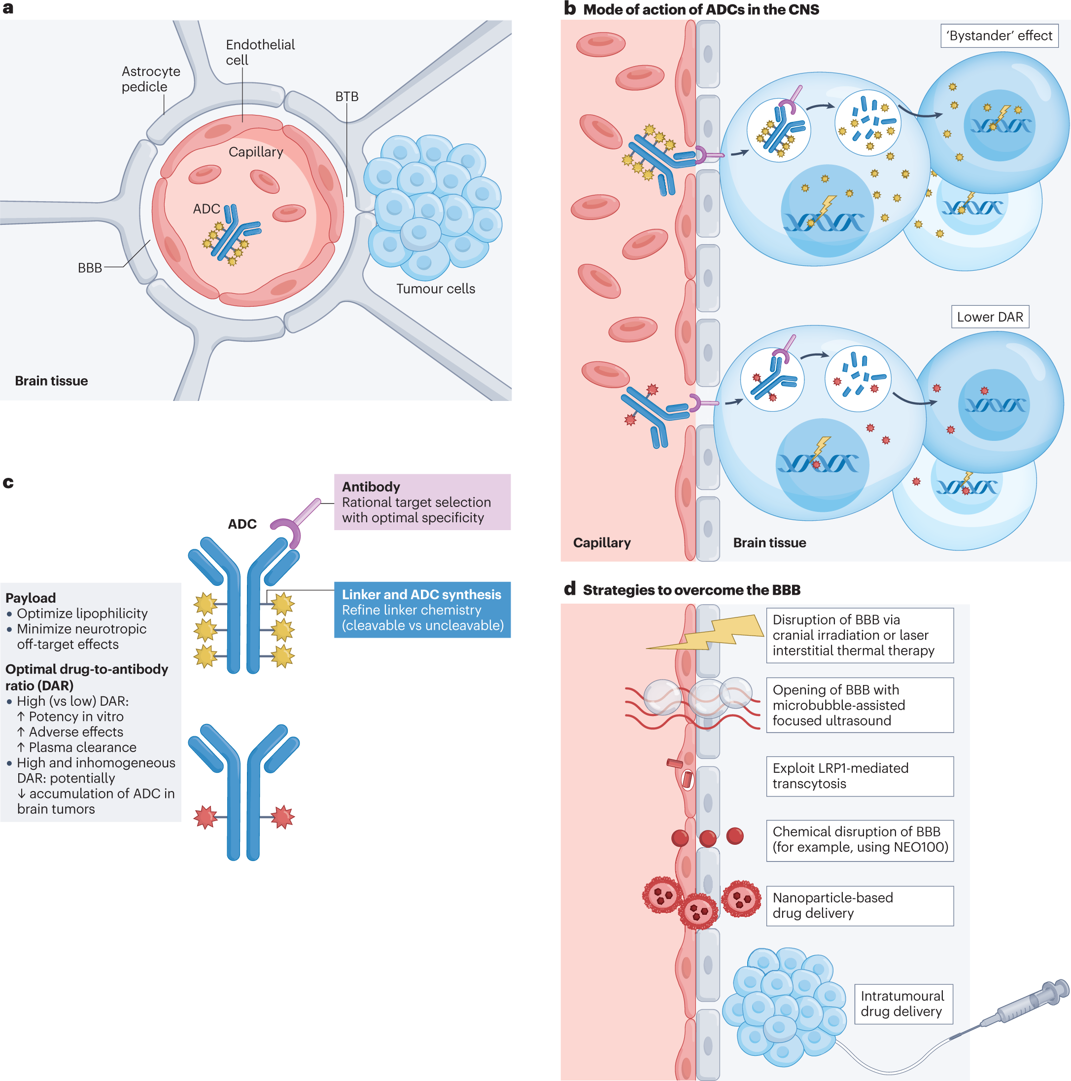 Understanding the activity of antibody–drug conjugates in primary and  secondary brain tumours
