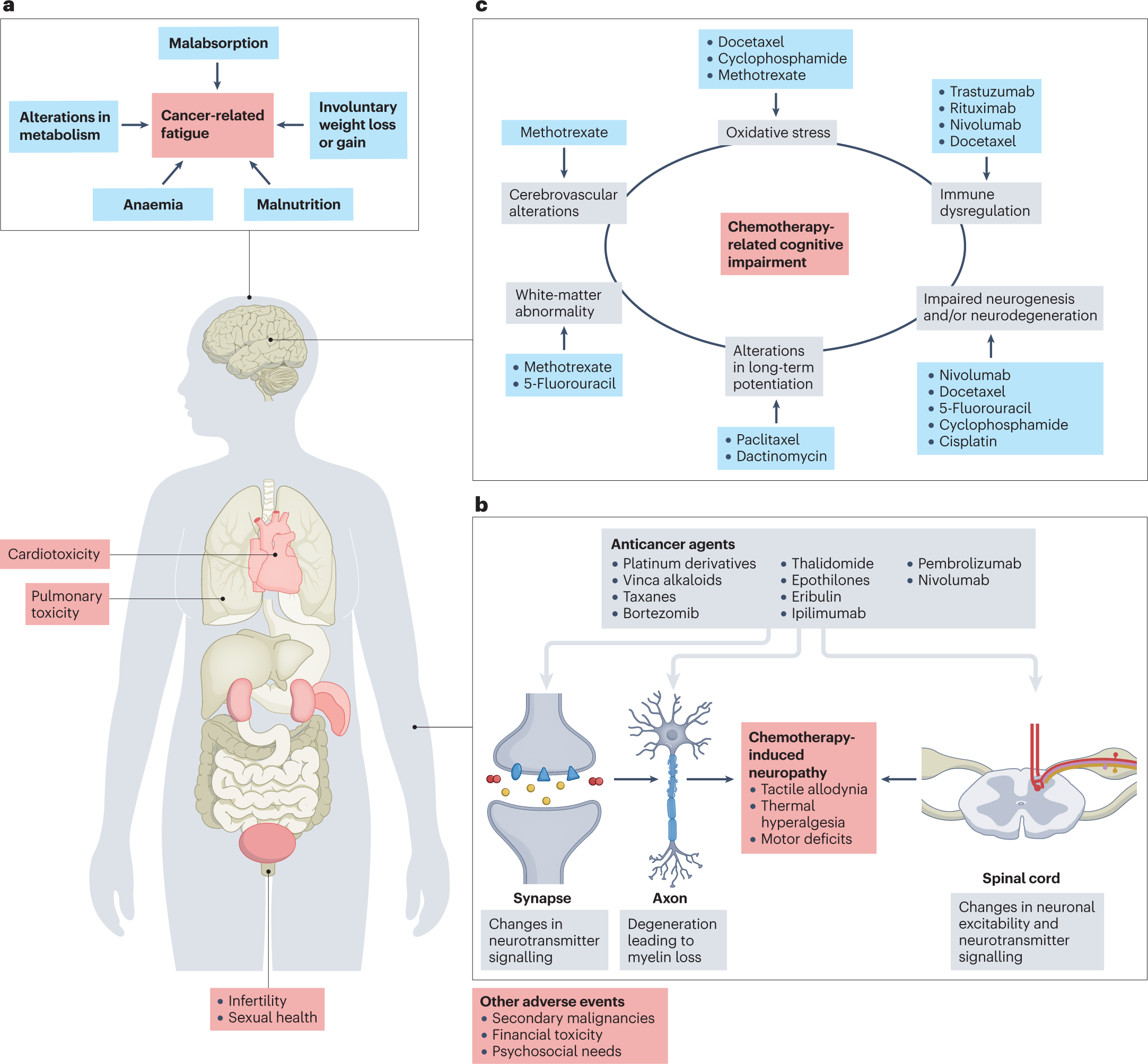 How physical exercise is key to the treatment of breast cancer