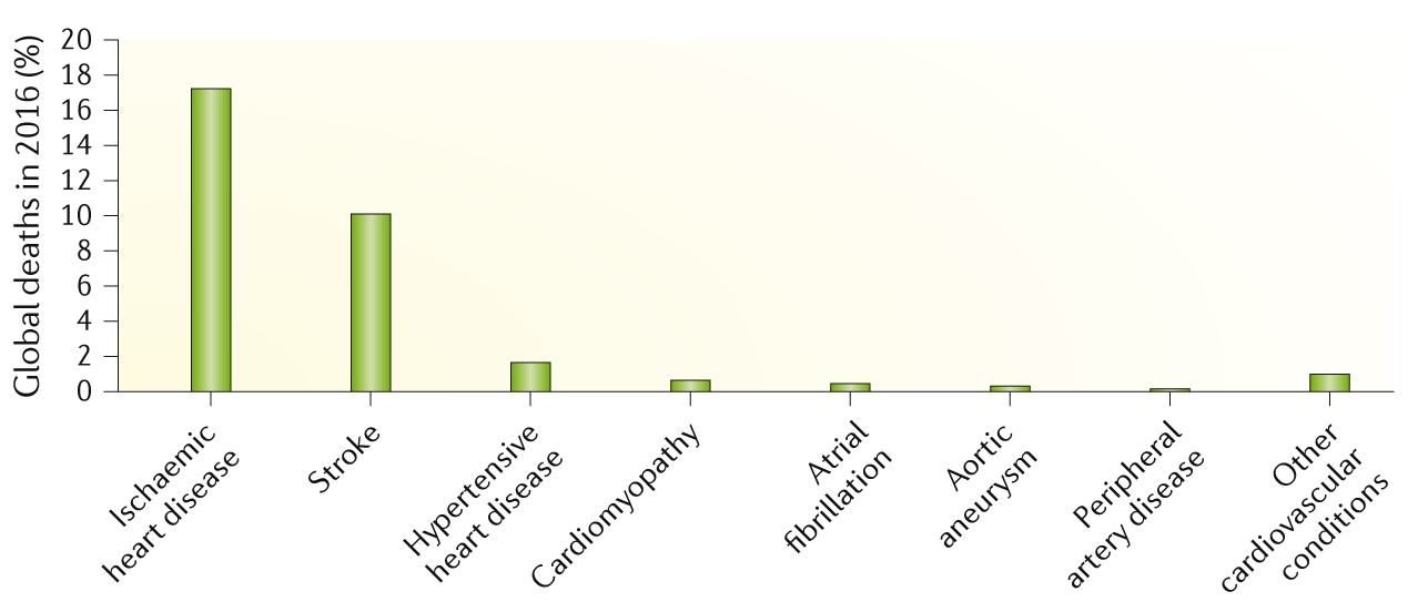 Assessment of Subclinical Atherosclerosis in Asymptomatic People In Vivo:  Measurements Suitable for Biomarker and Mendelian Randomization Studies