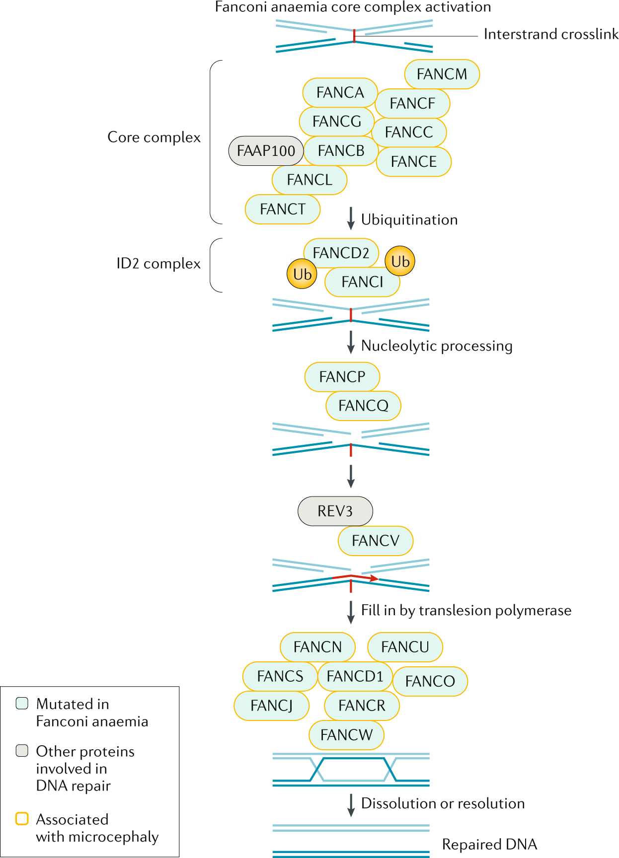 Ford f150 repair manual free Ford f150 repair manual free