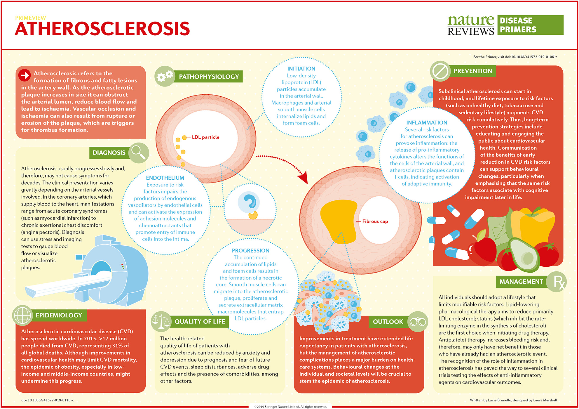 Nature reviews. Atherosclerosis risk Factors. Nature Reviews disease primers.