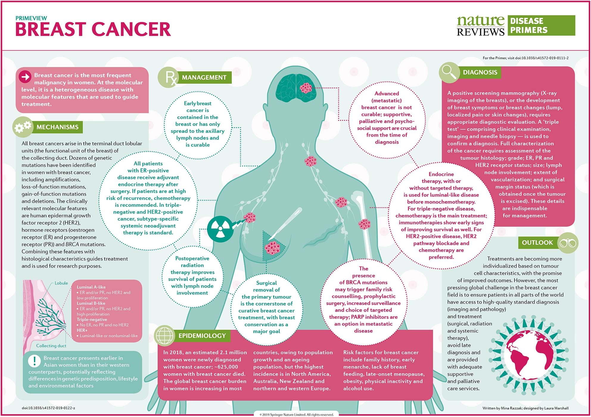 Breast cancer | Nature Reviews Primers