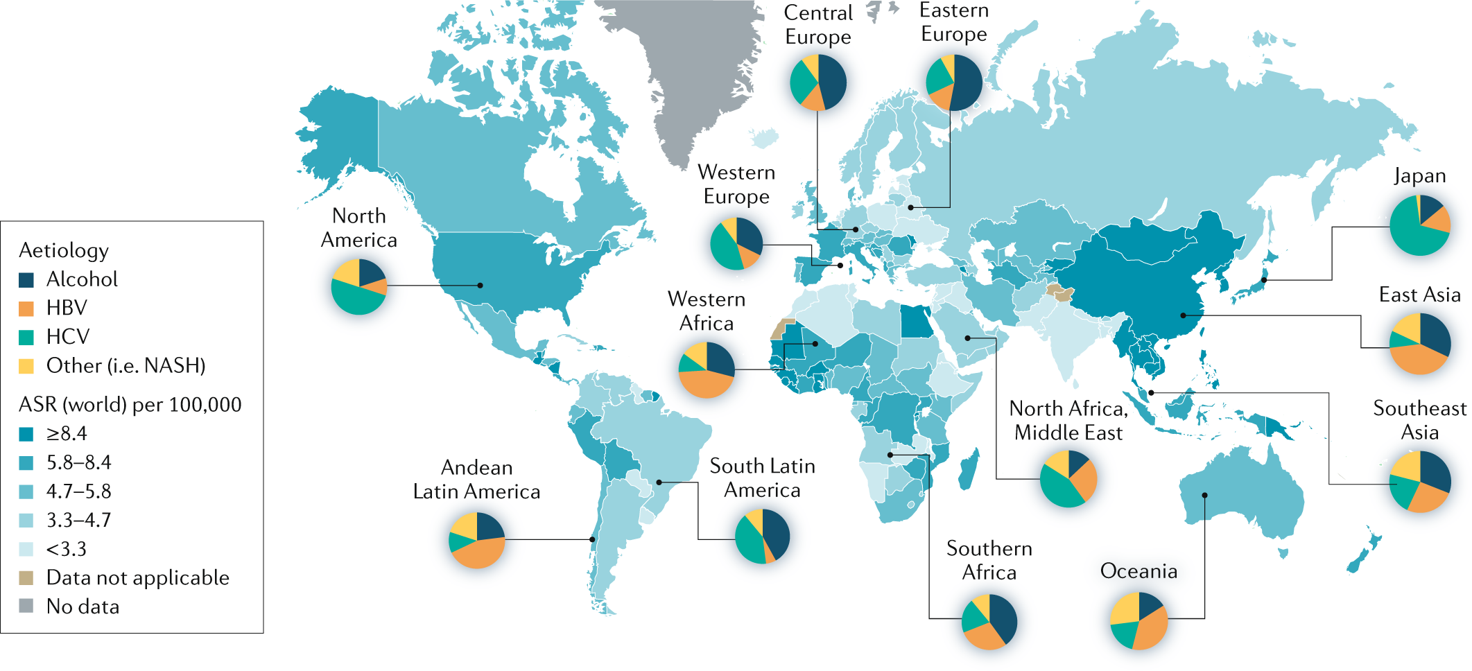 Hepatocellular carcinoma | Nature Reviews Disease Primers