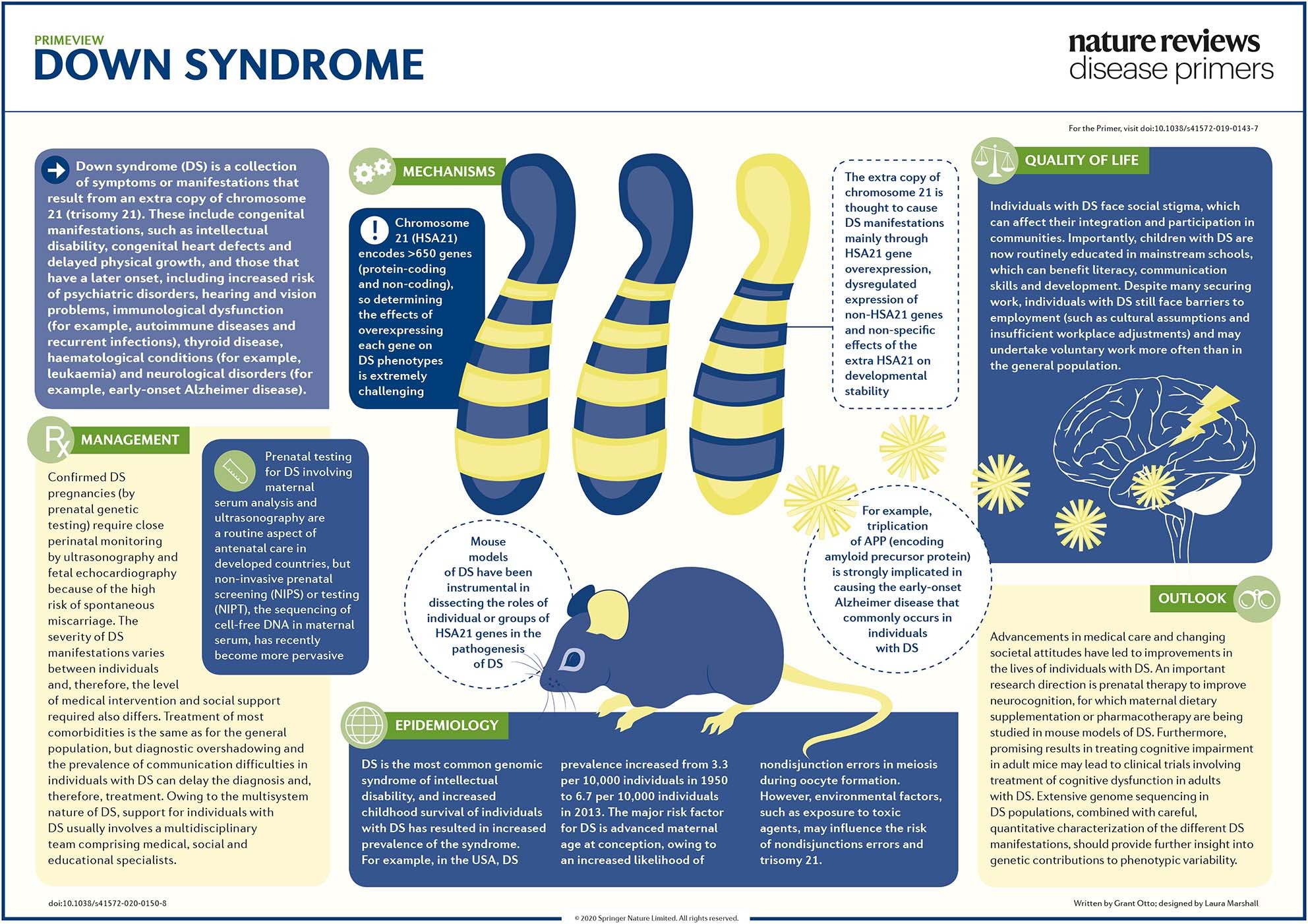 new research for down syndrome