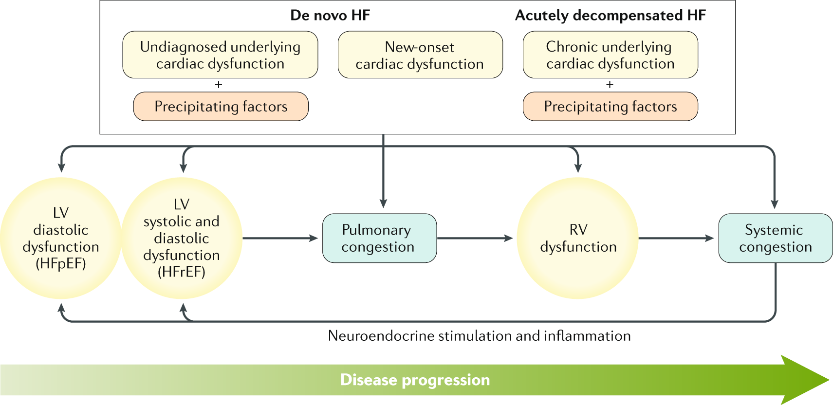 Acute left ventricular failure