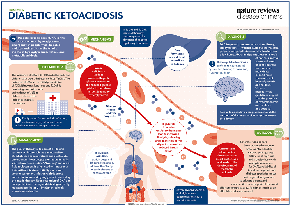 Diabetic Ketoacidosis and Hyperglycemic Hyperosmolar State