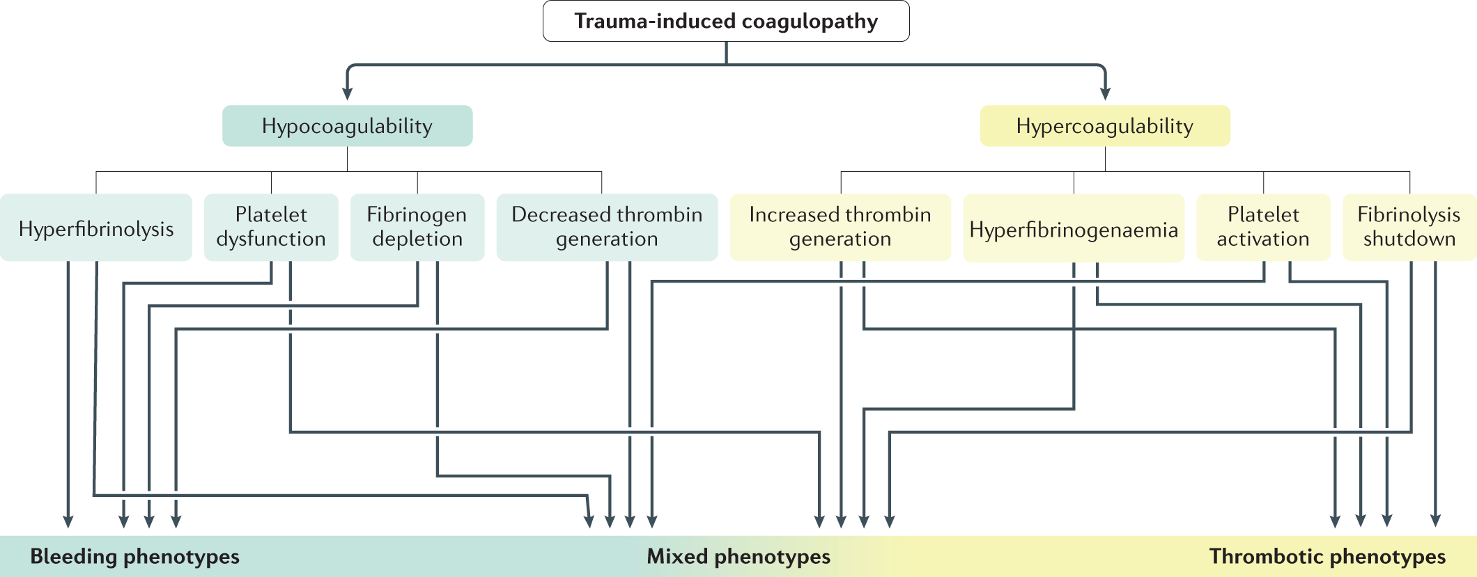 Trauma-induced coagulopathy  Nature Reviews Disease Primers