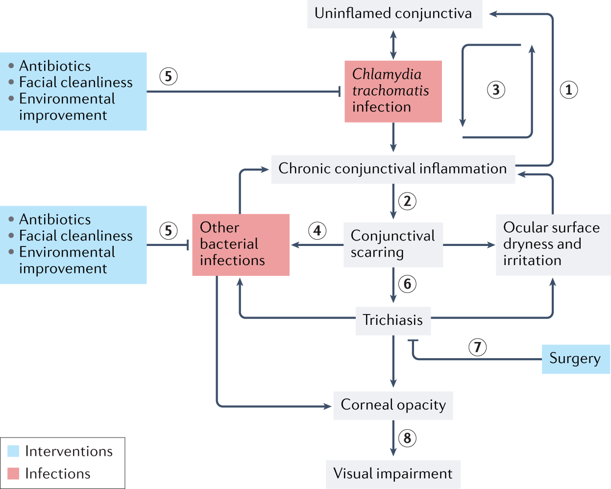 Trachoma | Nature Reviews Disease Primers