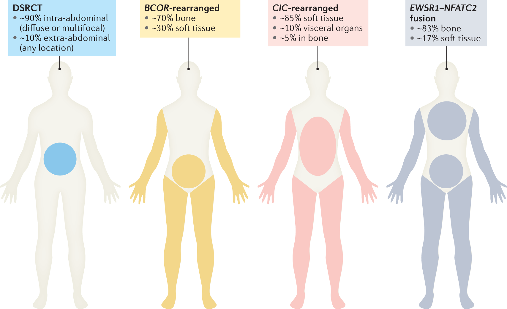 Small round cell sarcomas | Nature Reviews Disease Primers