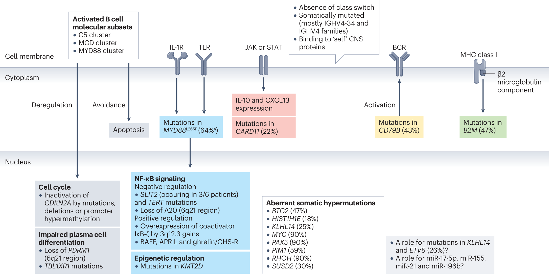 Primary central nervous system lymphoma | Nature Reviews Disease Primers