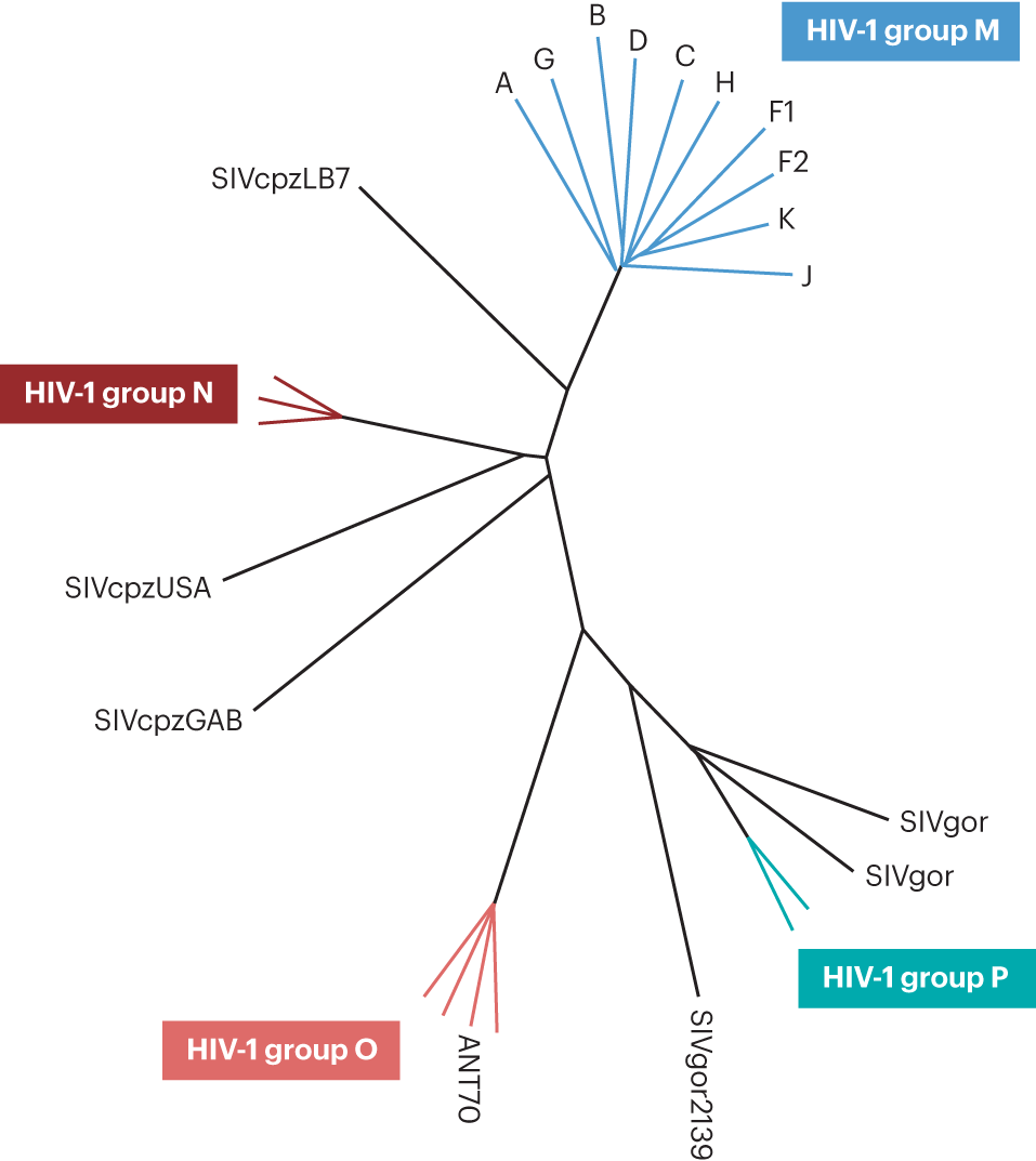 HIV infection Nature Reviews Disease Primers