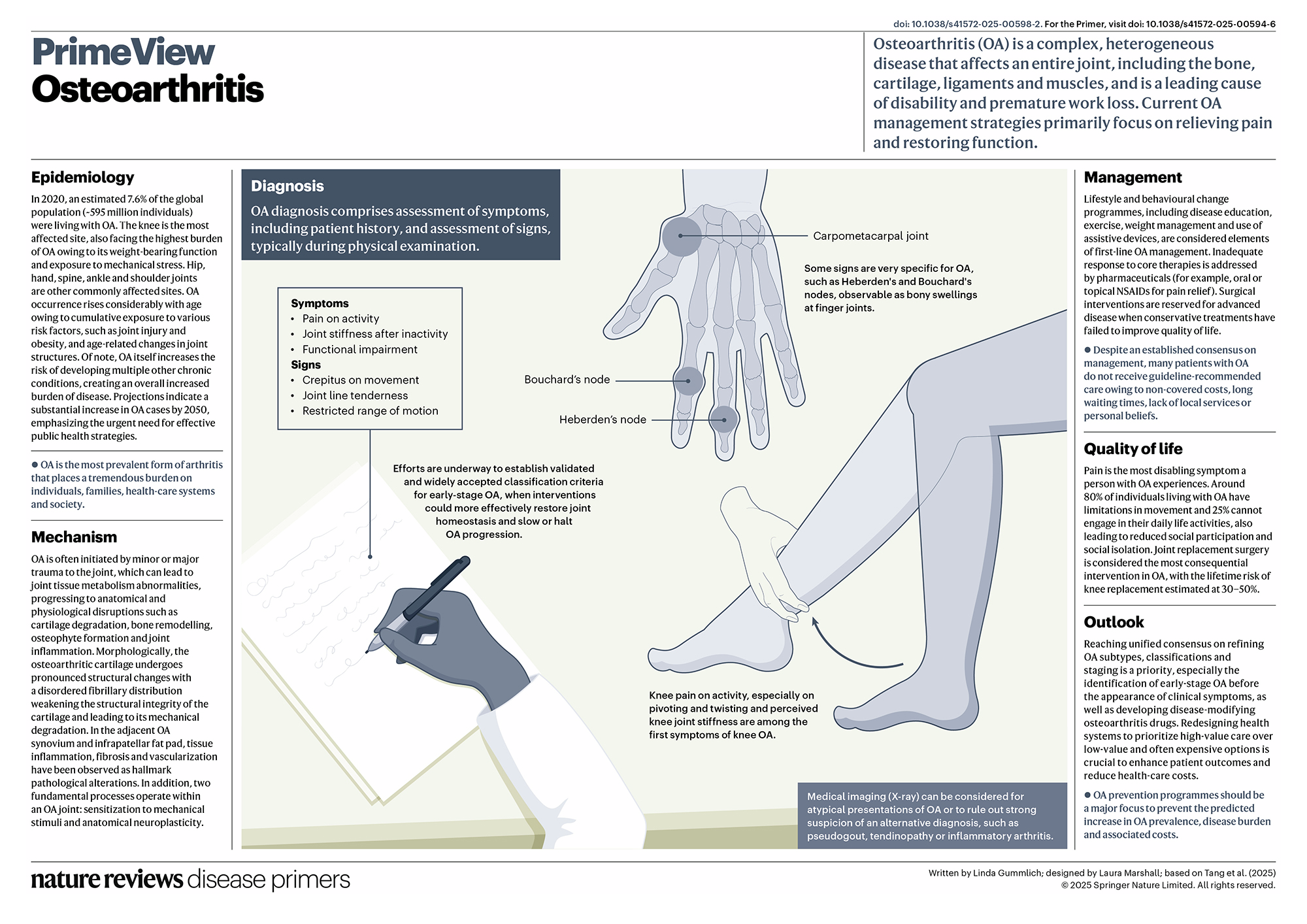 Osteoarthritis | Nature Reviews Disease Primers, image size:2000x1414