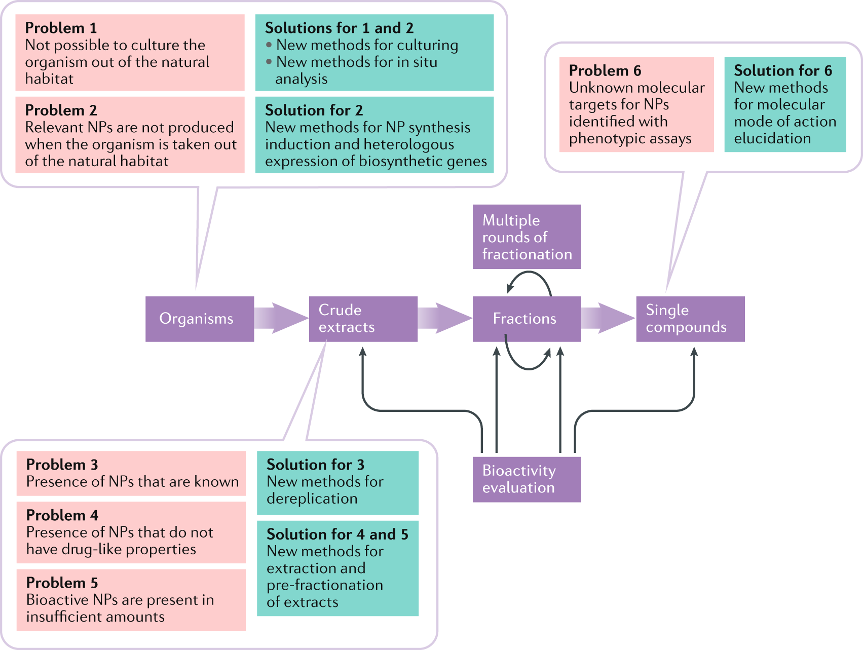 Natural products in drug discovery: advances opportunities | Nature Drug