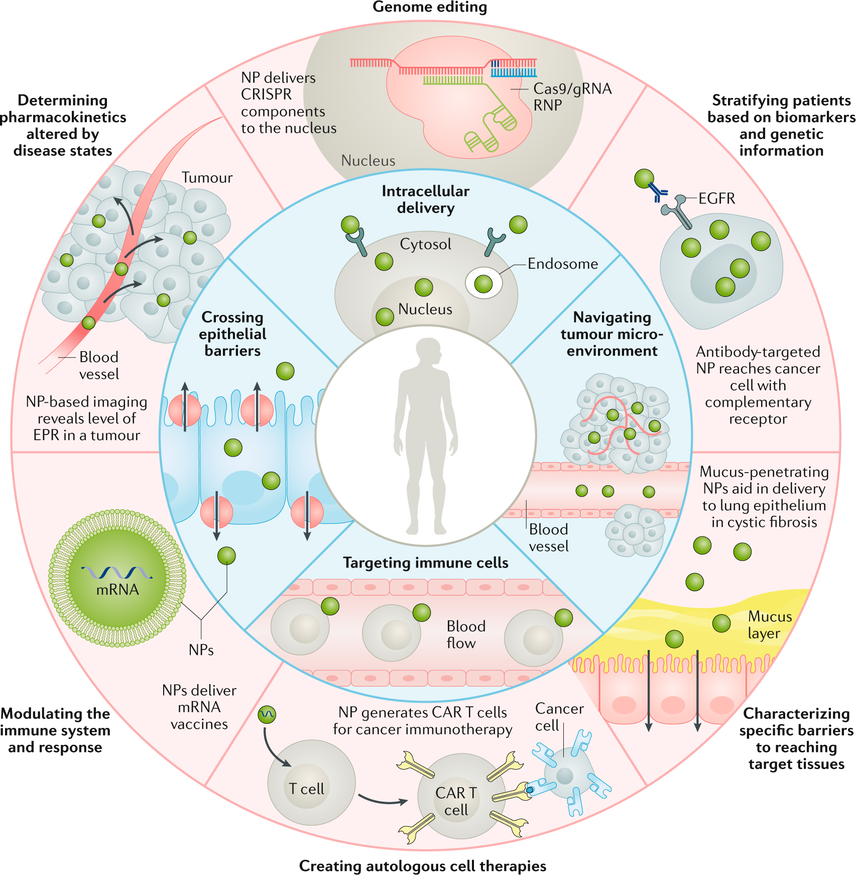 Platelet-Inspired Nanotherapeutics for Biomedical Applications