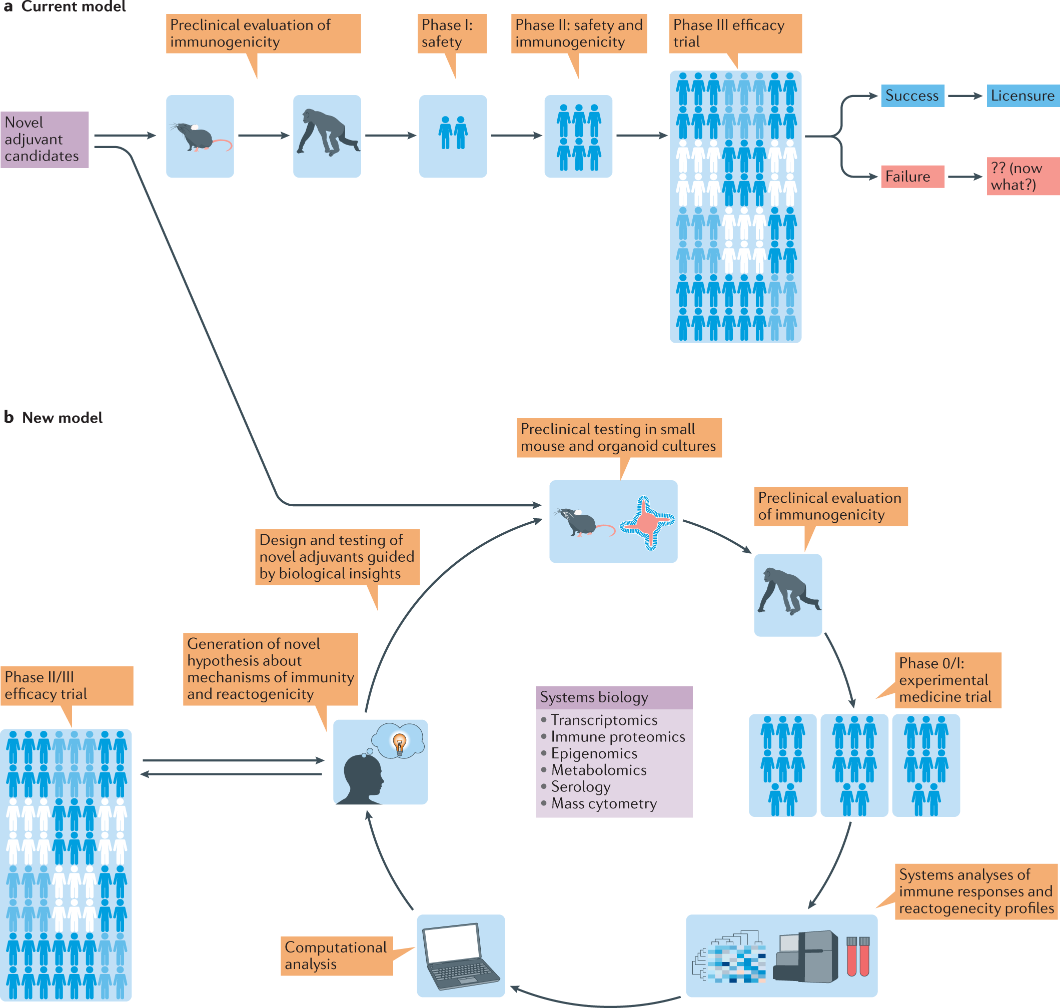 Fig. 4: A new framework for development of adjuvants.