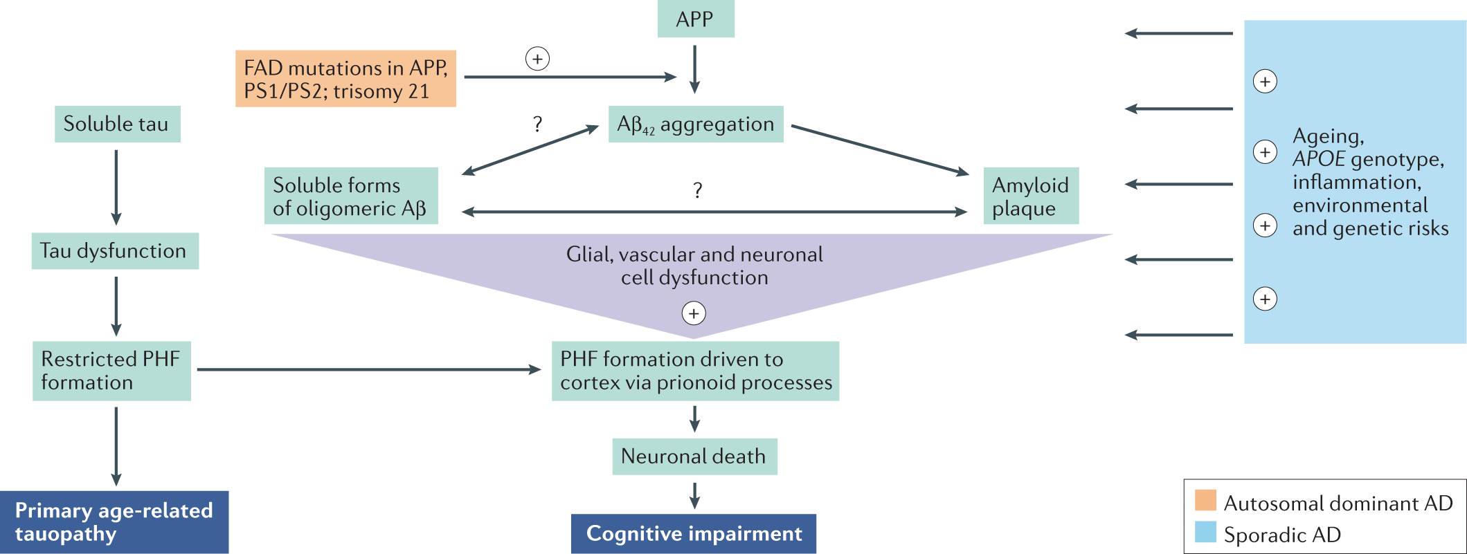 New insights into the genetic etiology of Alzheimer's disease and related  dementias