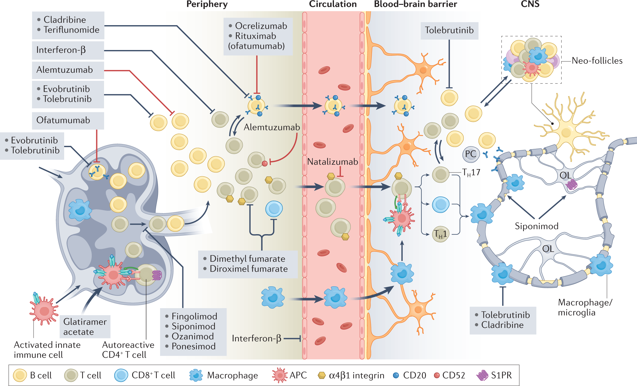 Thinking outside the box: non-canonical targets in multiple sclerosis |  Nature Reviews Drug Discovery