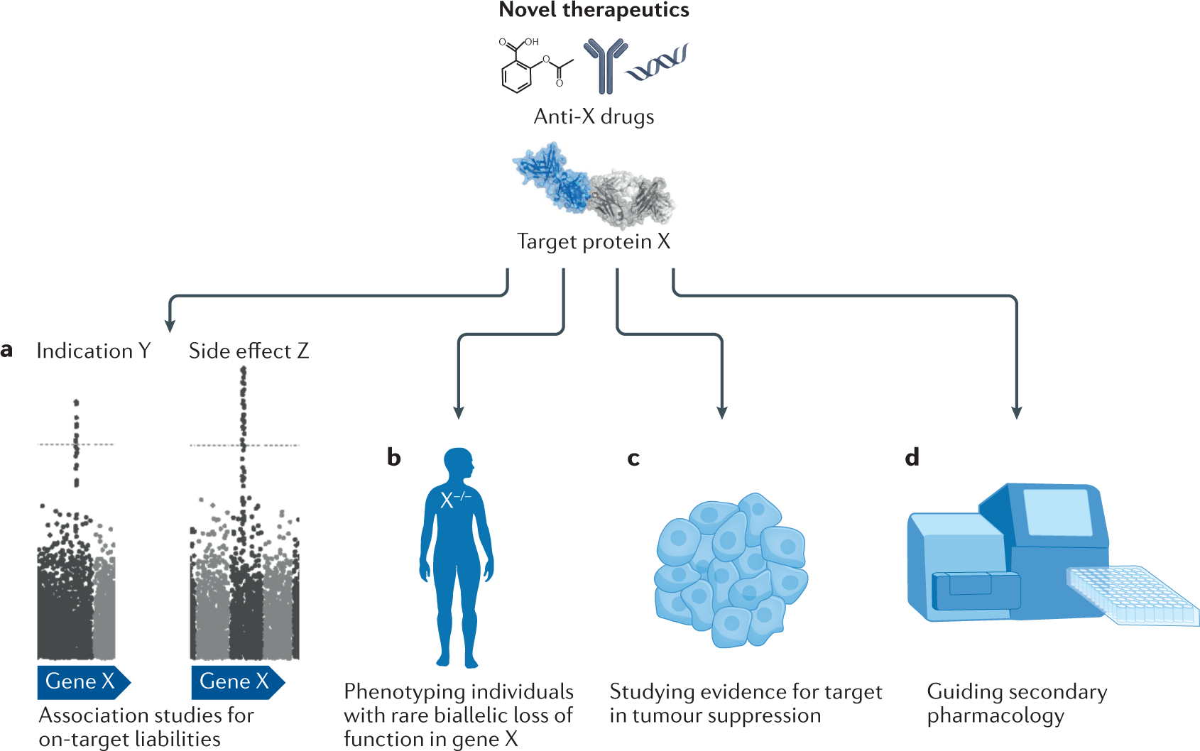 Early Safety Assessment - Drug Discovery and Development Based on