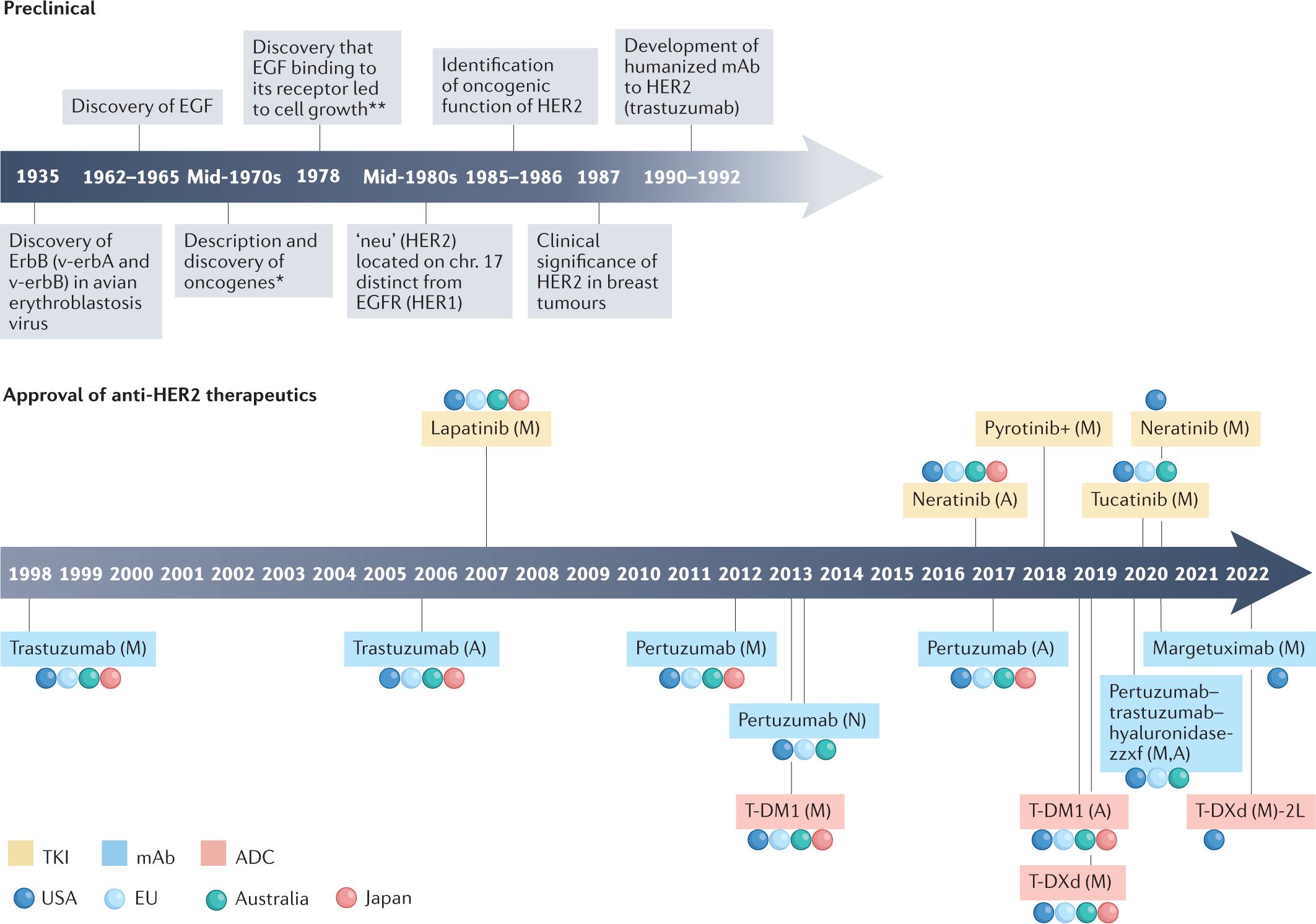 Targeting HER2-positive breast cancer: advances and future directions |  Nature Reviews Drug Discovery