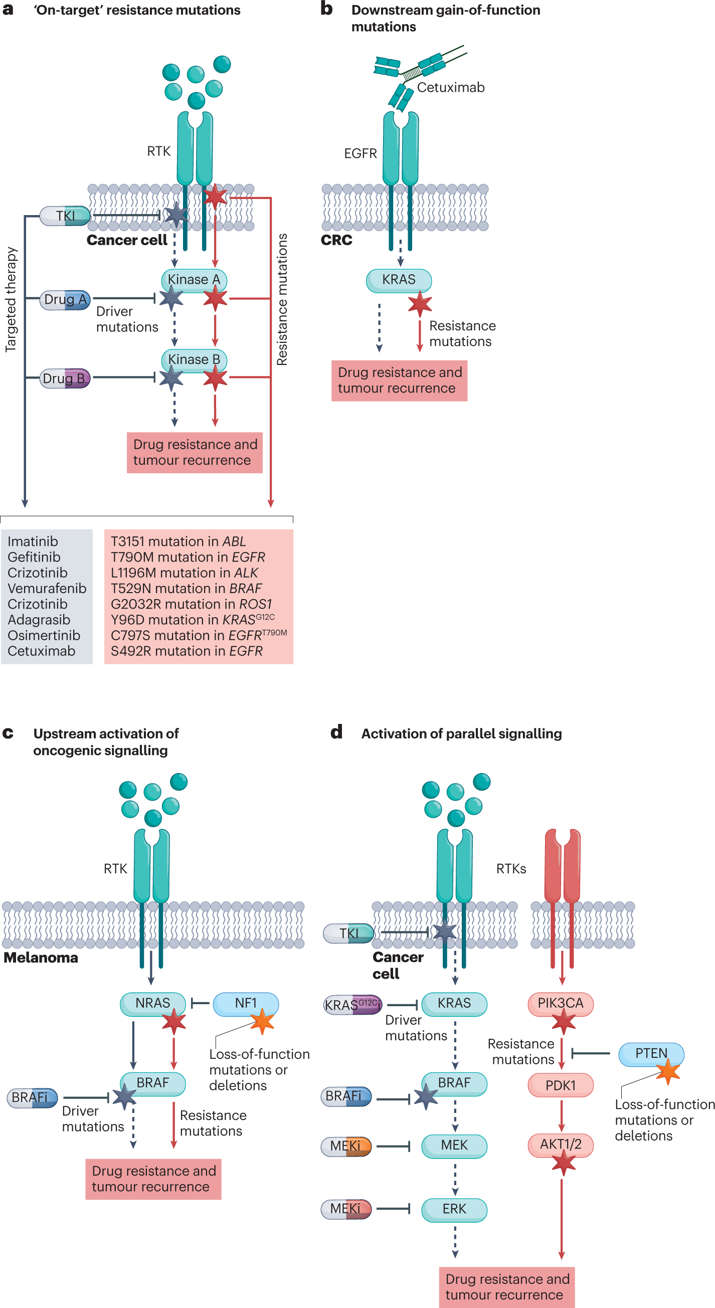 Rational combinations of targeted cancer therapies: background, advances  and challenges | Nature Reviews Drug Discovery