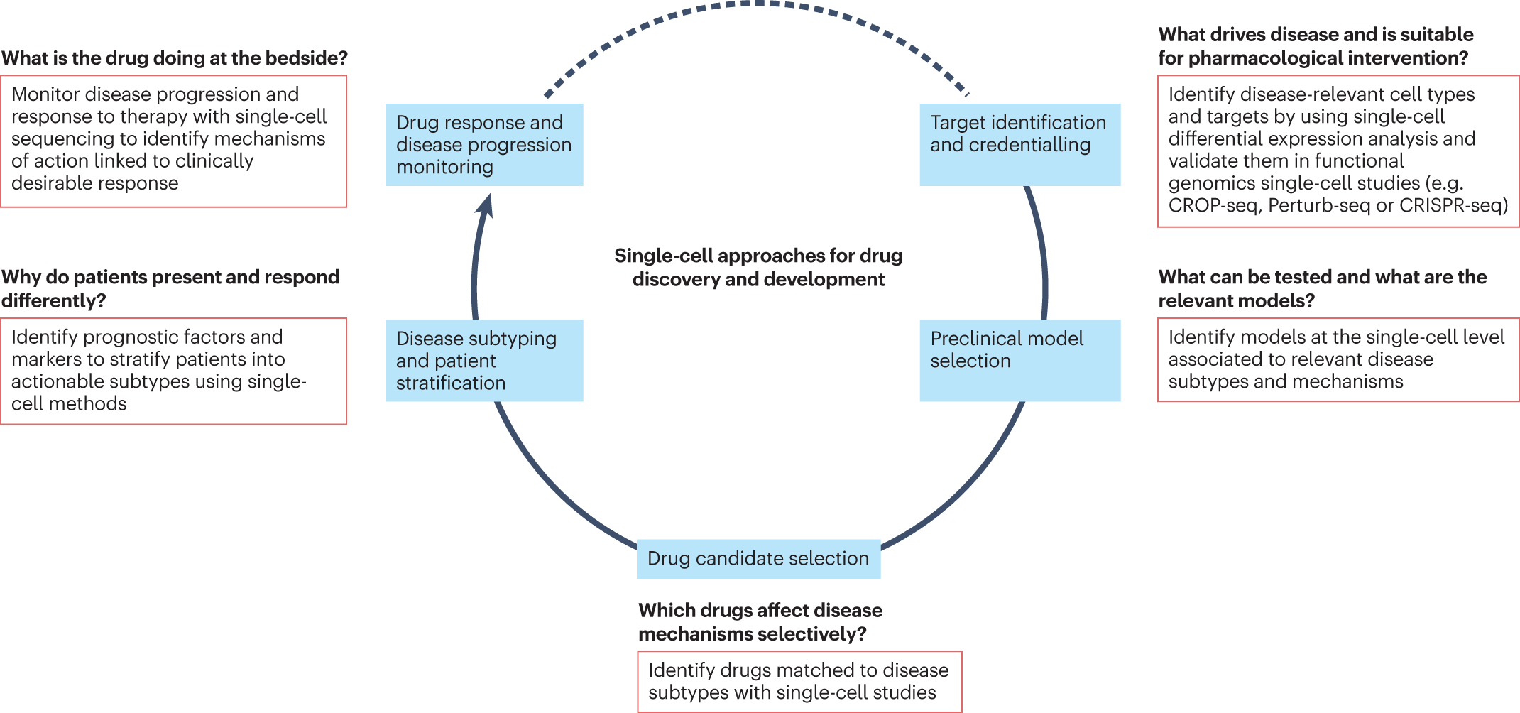 Applications of single-cell RNA sequencing in drug discovery and  development