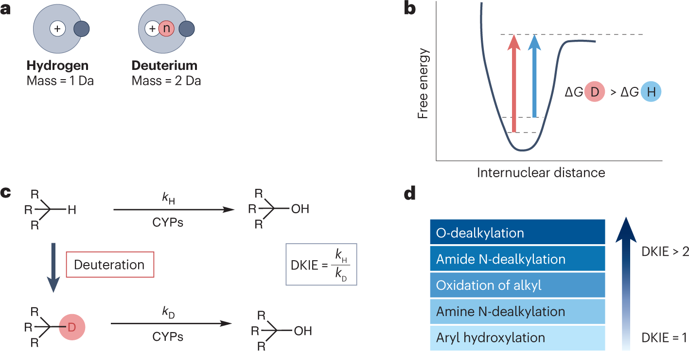 Deuterium in drug discovery: progress, opportunities and challenges | Nature Reviews Drug Discovery deuterium-in-drug-discovery-progress-opportunities-and-challenges-nature-reviews-drug-discovery