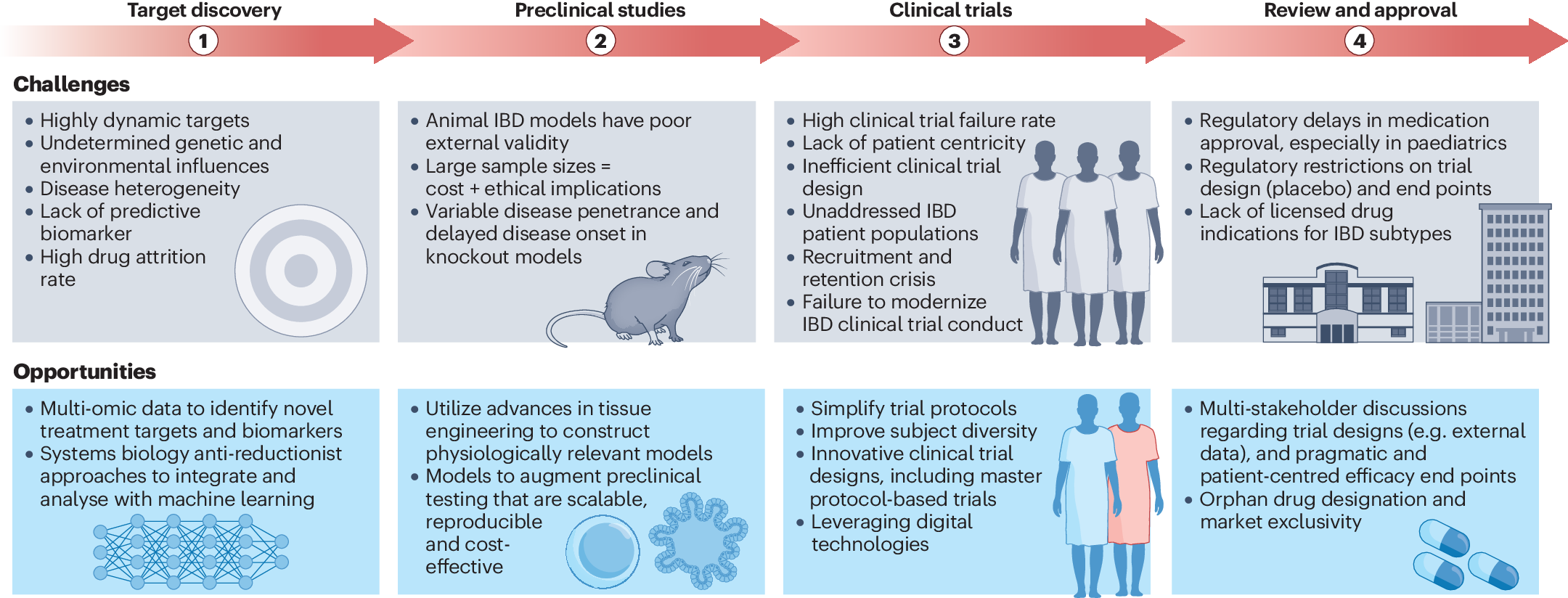 Navigating the complexities of drug development for inflammatory 