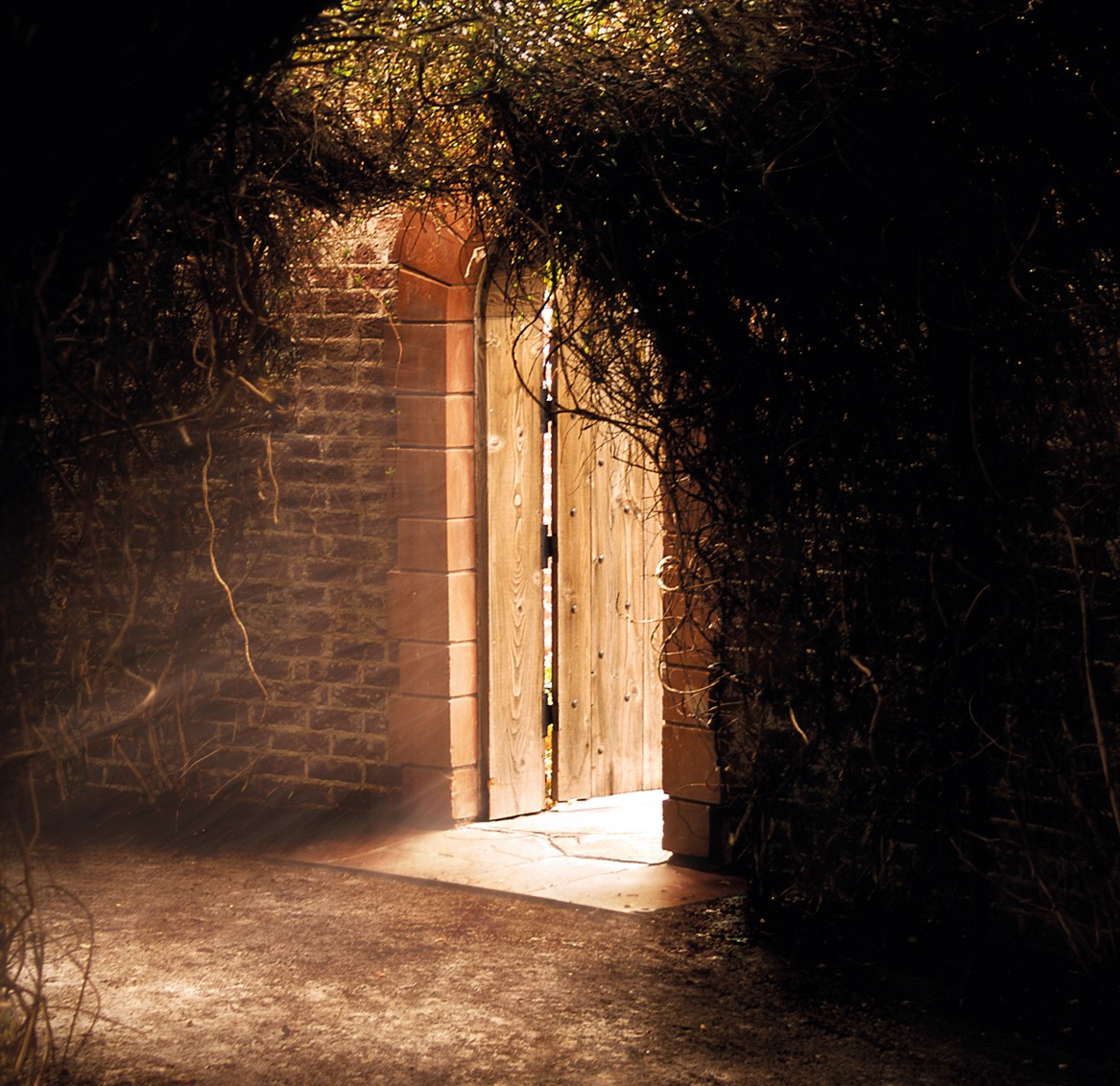 Secret place in the. Secret place. красивая надпись secret place. sinead o&#039;connor she who dwells in the secret place of the most high shall abide under the shadow of the almighty. a secret place in the ground ..