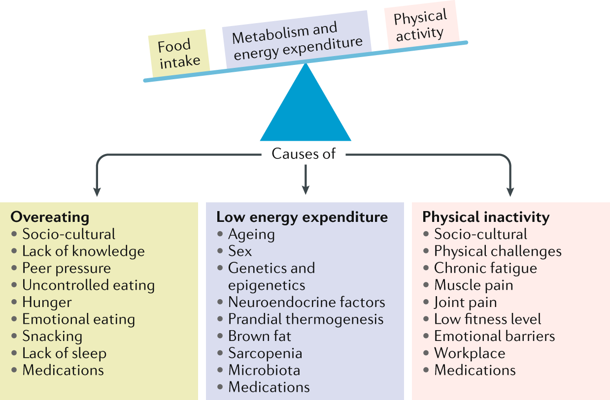 Obesity: World Awareness Of Pathological