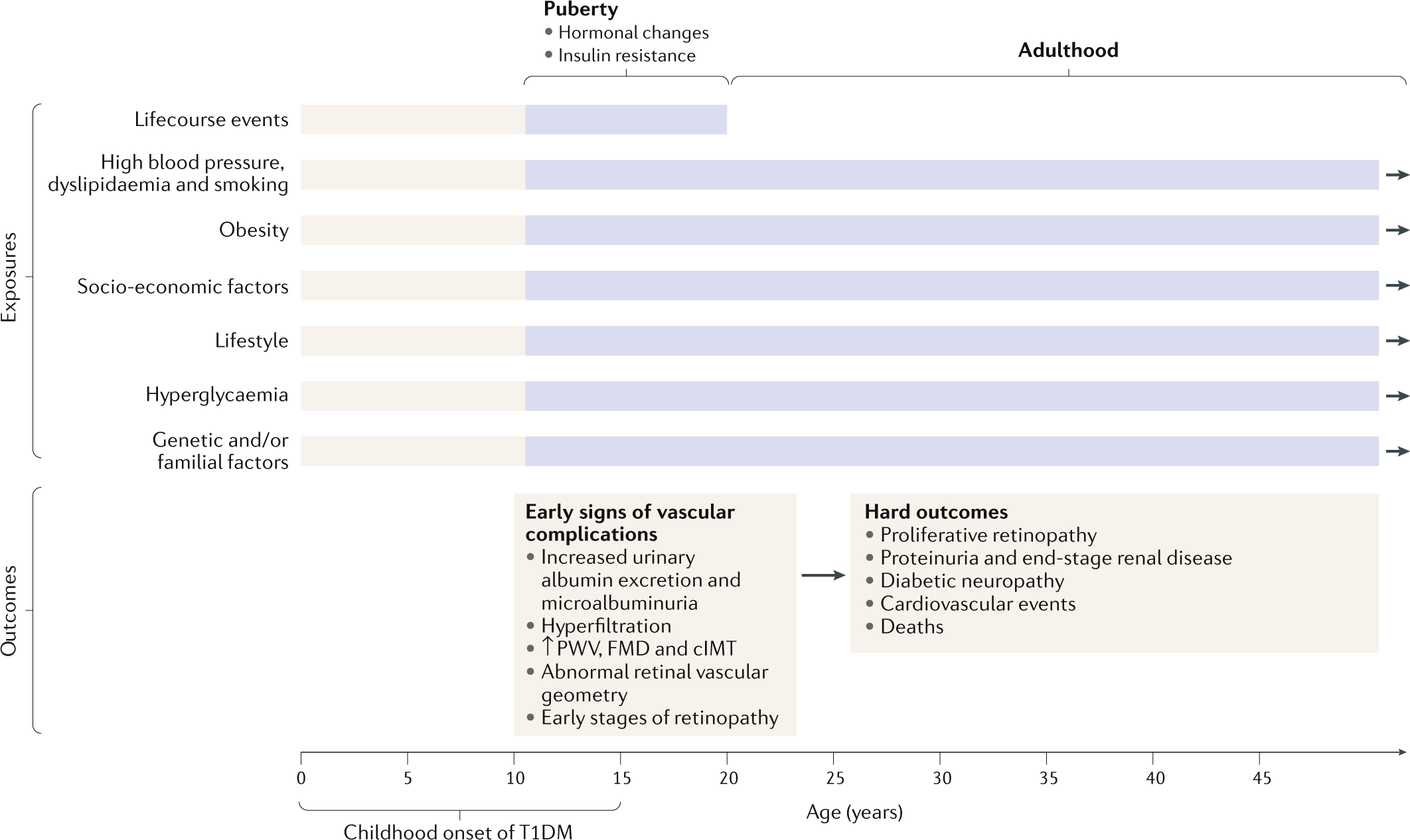 A New Strategy For Vascular Complications In Young People With