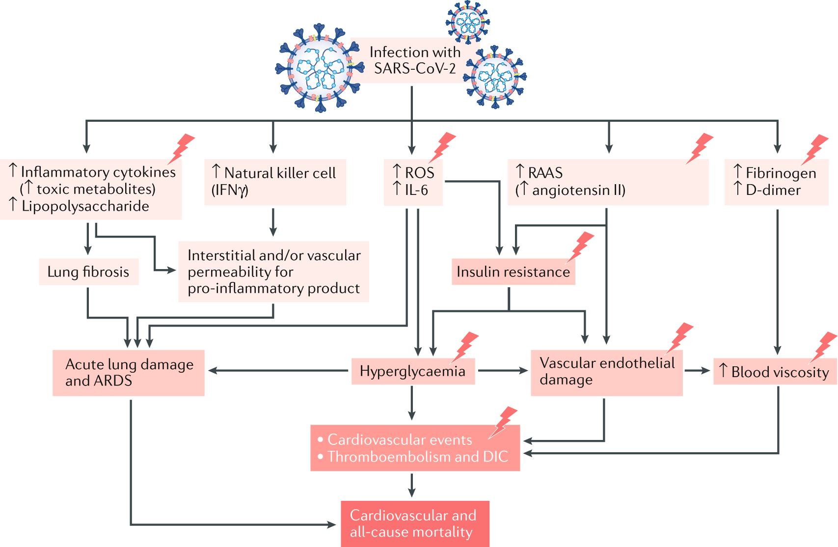 diabetes mellitus and covid 19 ppt