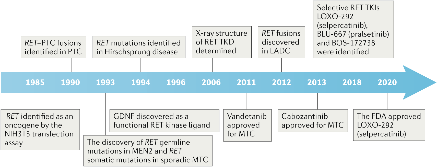 The importance of the RET gene in thyroid cancer and therapeutic  implications
