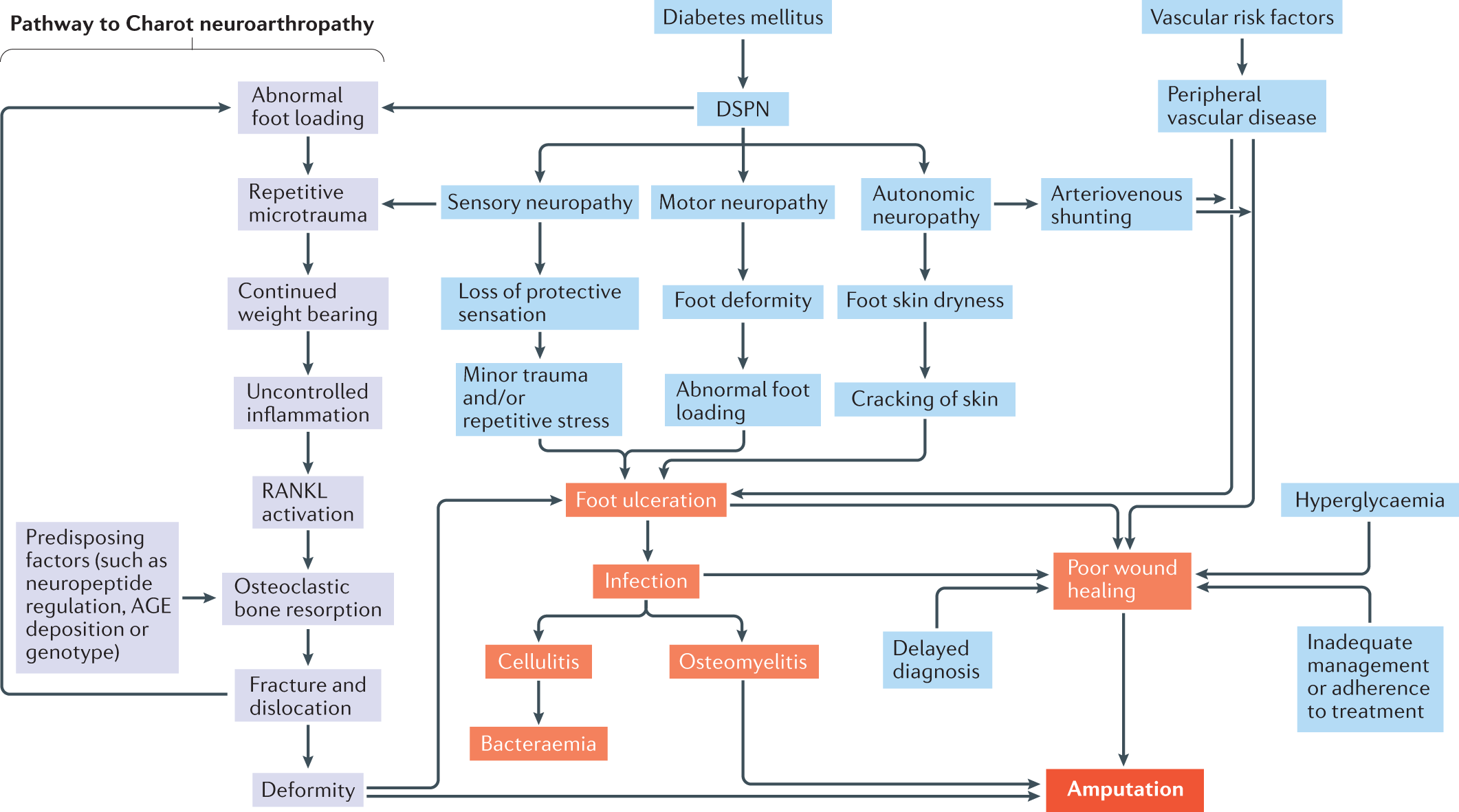 diabetic neuropathy classification system