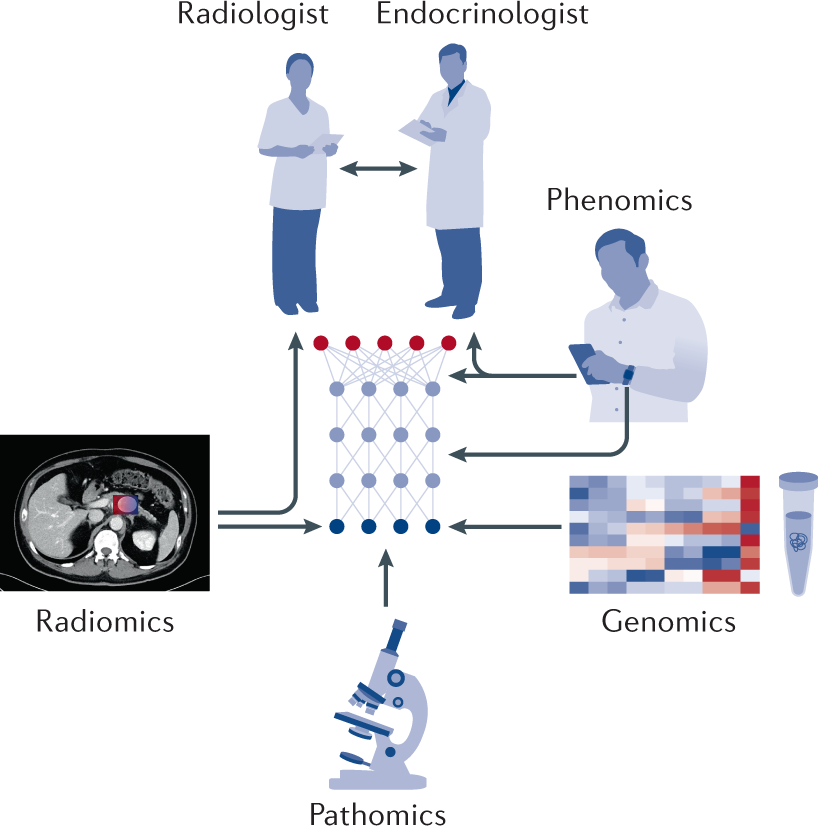 AI-powered interpretable imaging phenotypes noninvasively