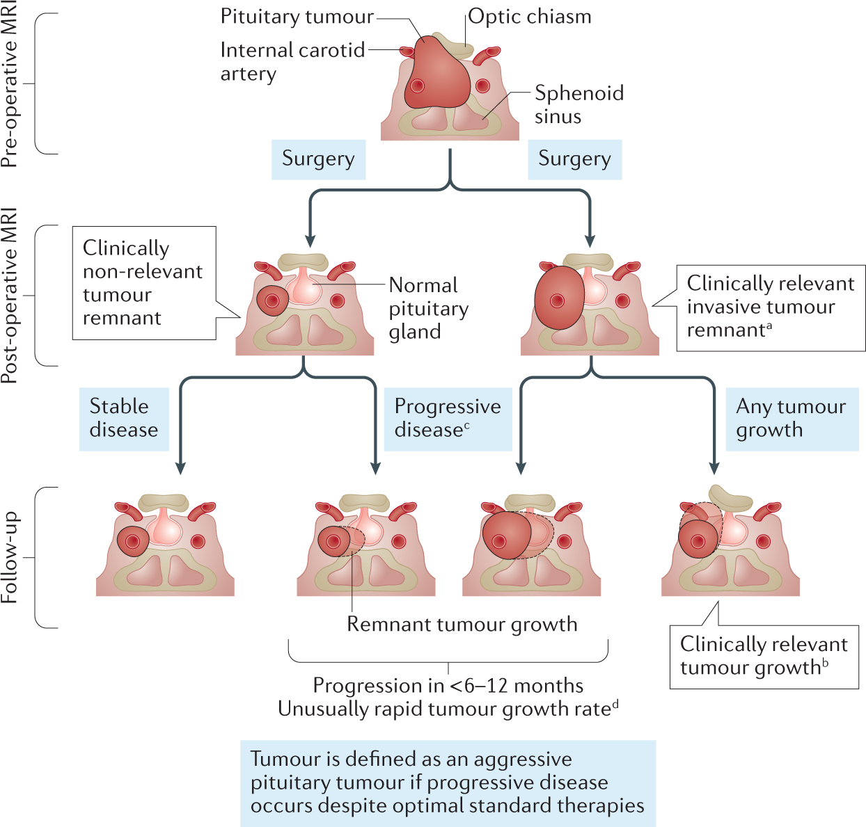 How To Snag An Alpha Chapitre 3 Vf Aggressive pituitary tumours and pituitary carcinomas | Nature Reviews  Endocrinology