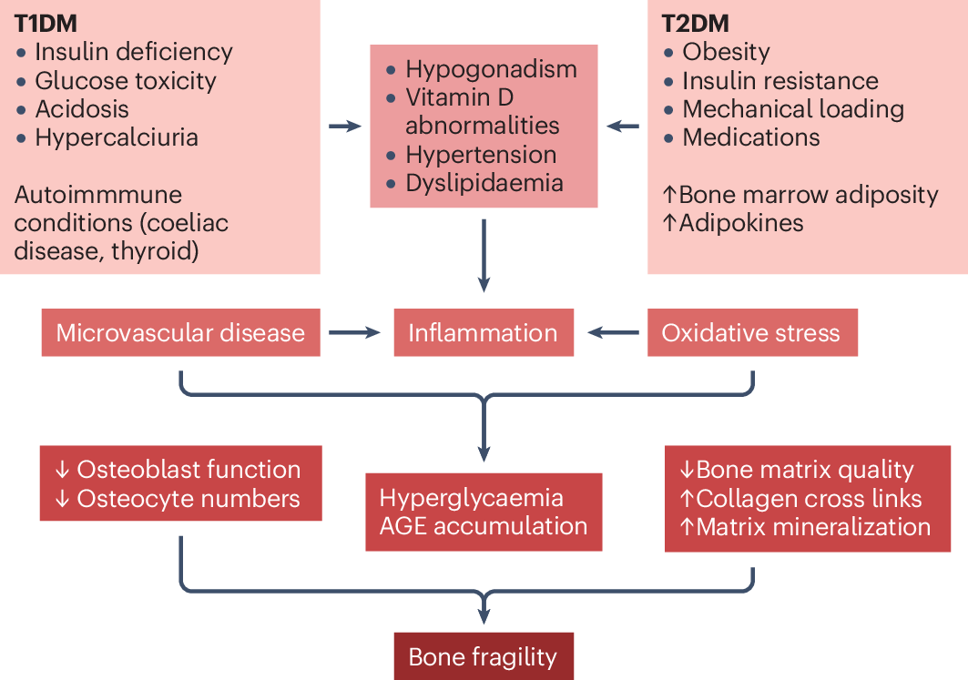 60 units of tirzepatide is how many mg Semaglutide and Tirzepatide Dosage Charts: A Complete Guide