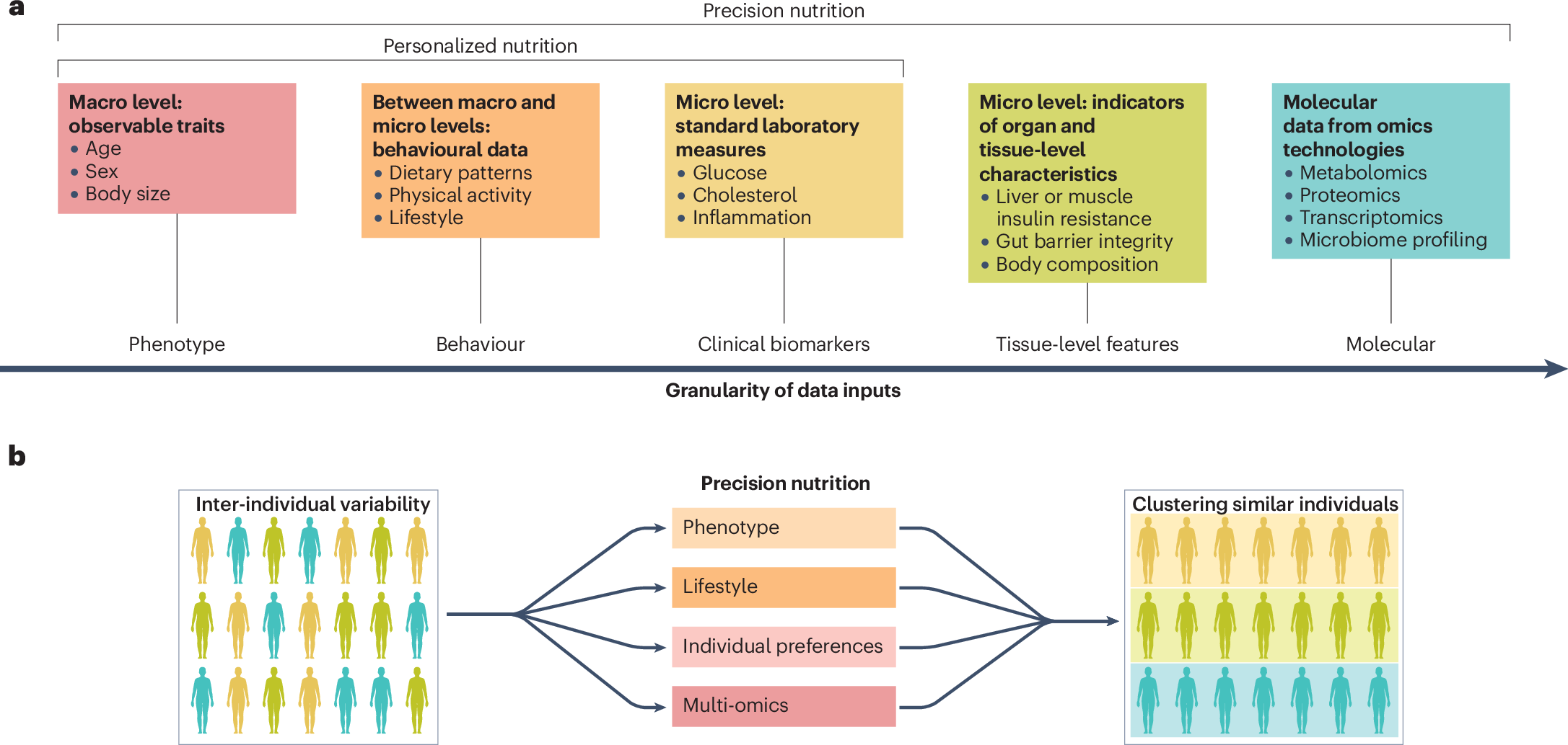 Advancing precision nutrition: bridging mechanistic insight and clinical  implementation | Nature Reviews Endocrinology