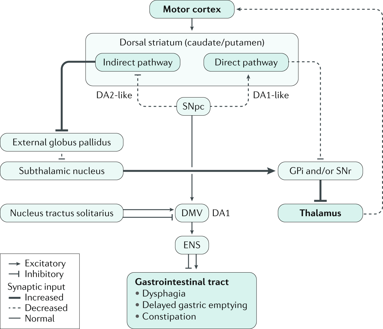 Parkinson Disease And The Gut New Insights Into Pathogenesis And Clinical Relevance Nature Reviews Gastroenterology Hepatology Parkinson Disease And The Gut New Insights Into Pathogenesis And Clinical Relevance Nature Reviews Gastroenterology Hepatology