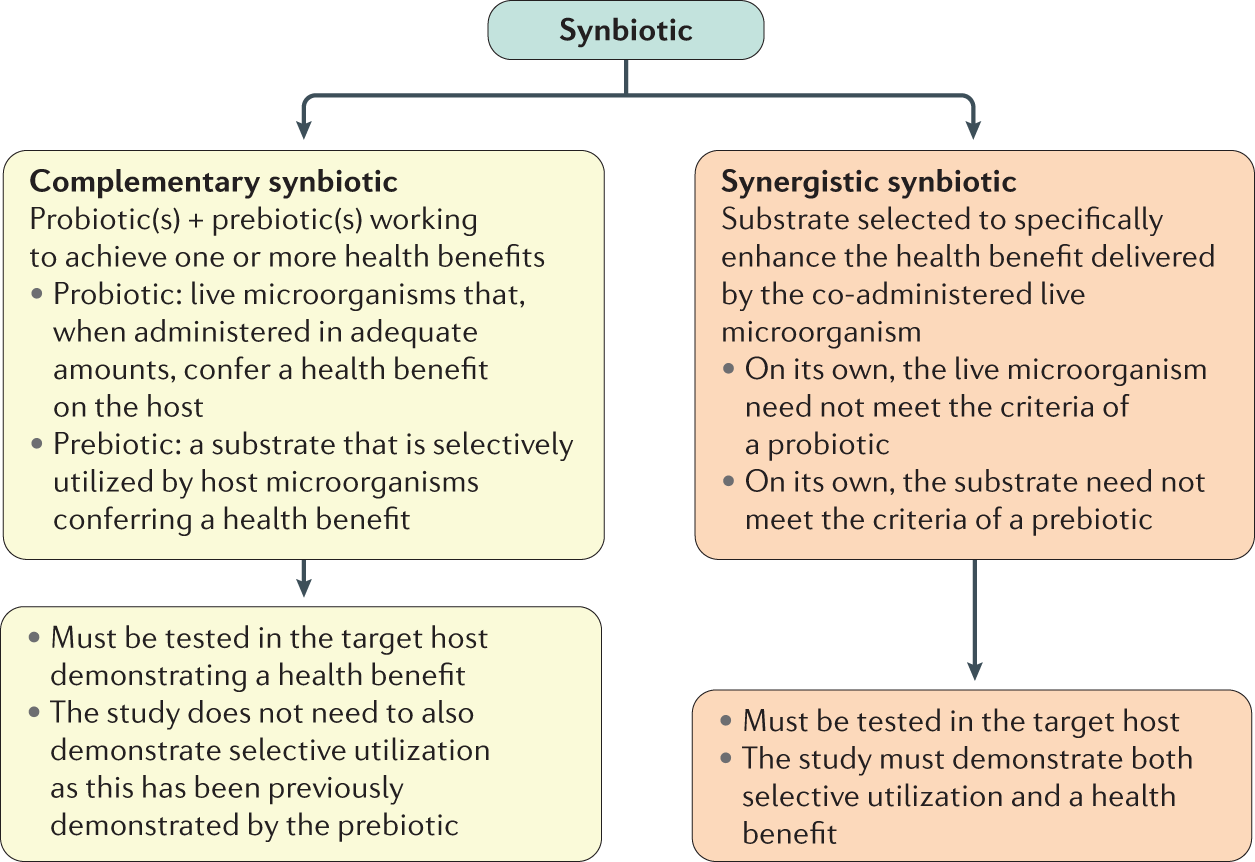 The International Scientific Association For Probiotics And Prebiotics Isapp Consensus Statement On The Definition And Scope Of Synbiotics Nature Reviews Gastroenterology Hepatology