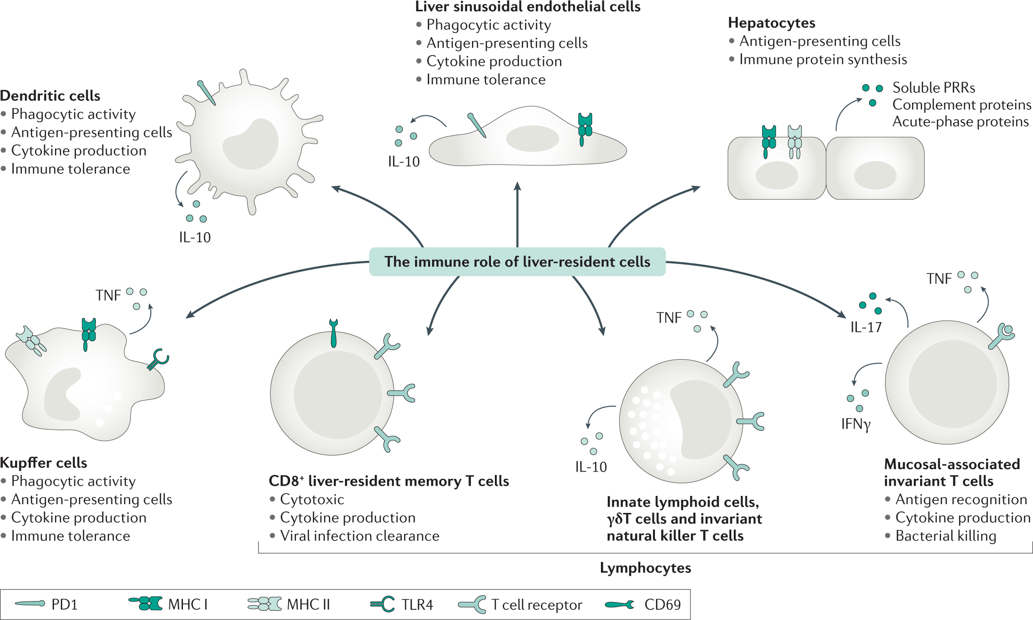 Cirrhosis-associated immune dysfunction  Nature Reviews 