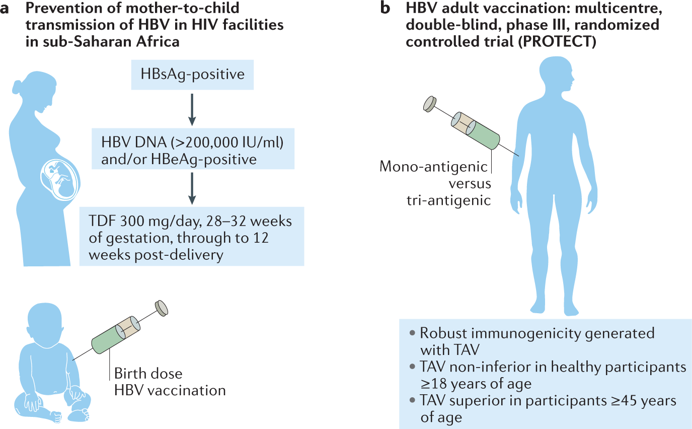 Vaccination at the forefront of the fight against hepatitis B and C