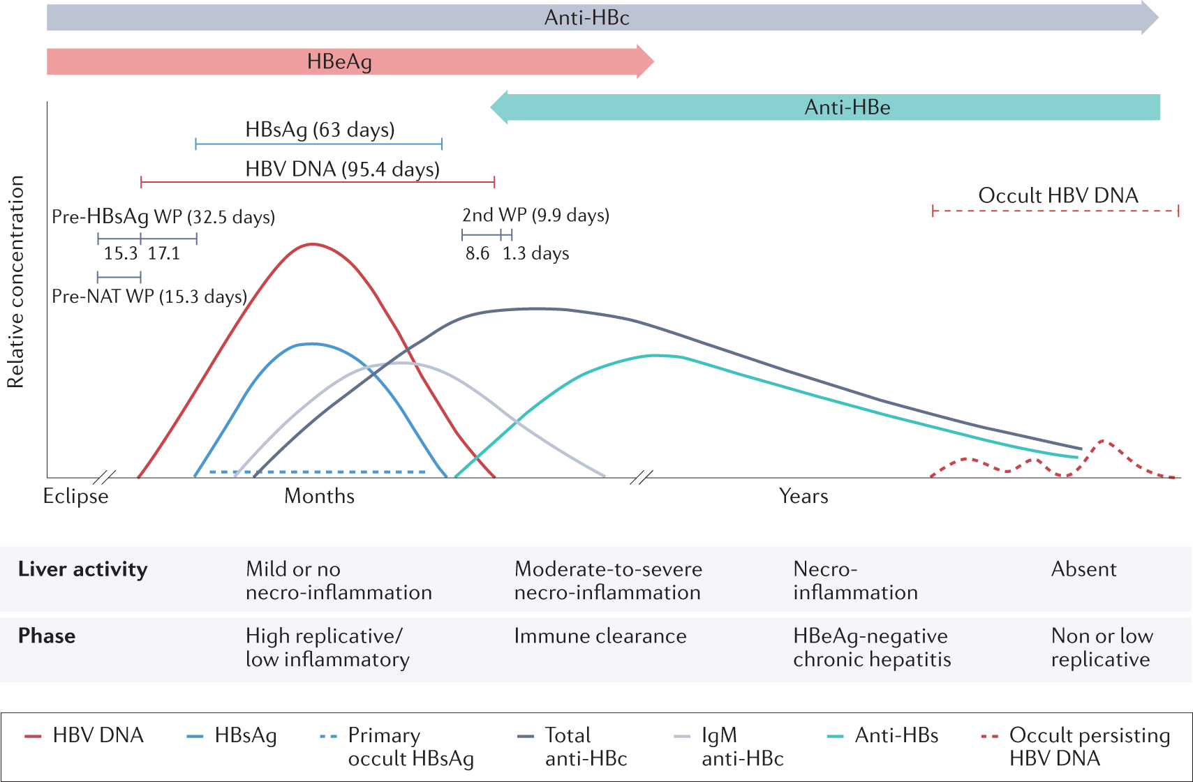 A roadmap for serum biomarkers for hepatitis B virus: current status and  future outlook | Nature Reviews Gastroenterology & Hepatology